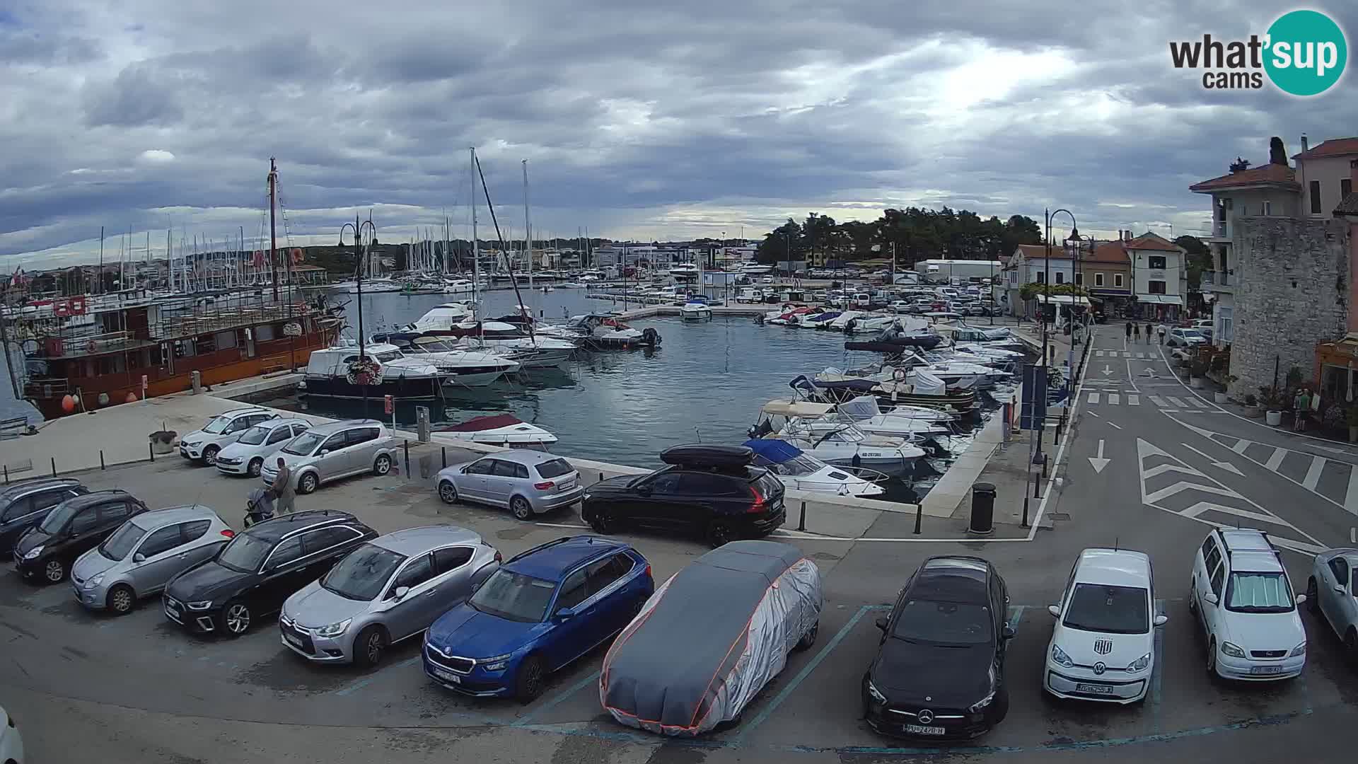 Novigrad | Porporela marina