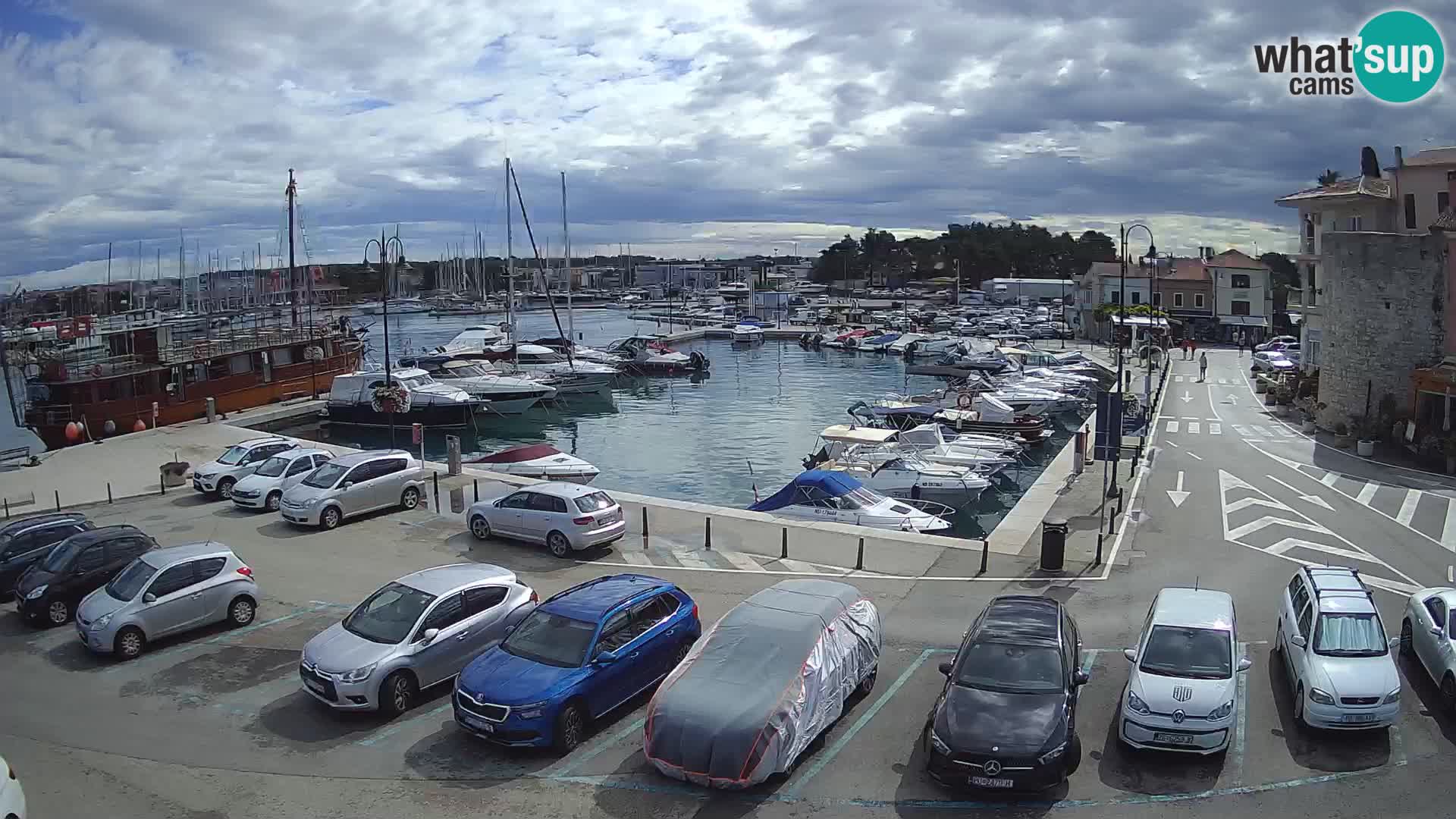 Novigrad | Porporela marina