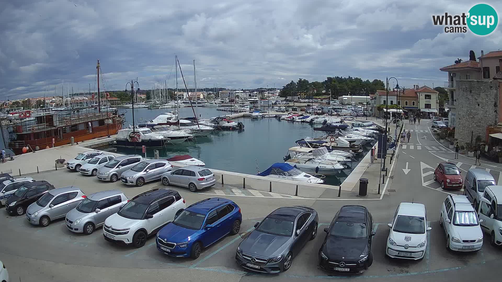 Novigrad | Porporela marina