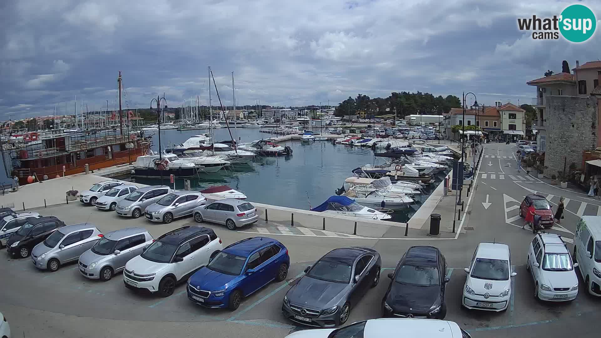 Novigrad | Porporela marina