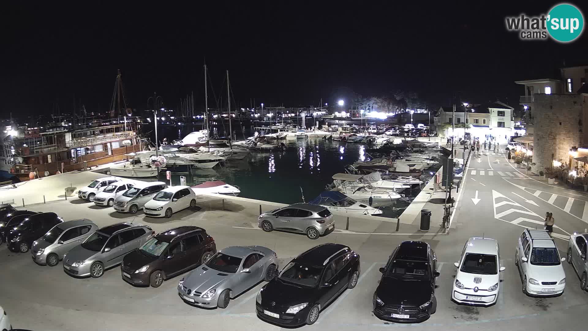 Novigrad | Porporela marina