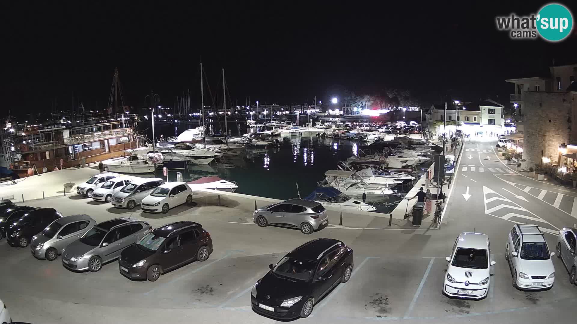 Novigrad | Porporela marina