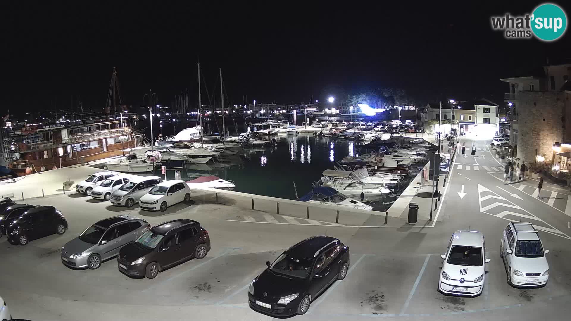 Novigrad | Porporela marina