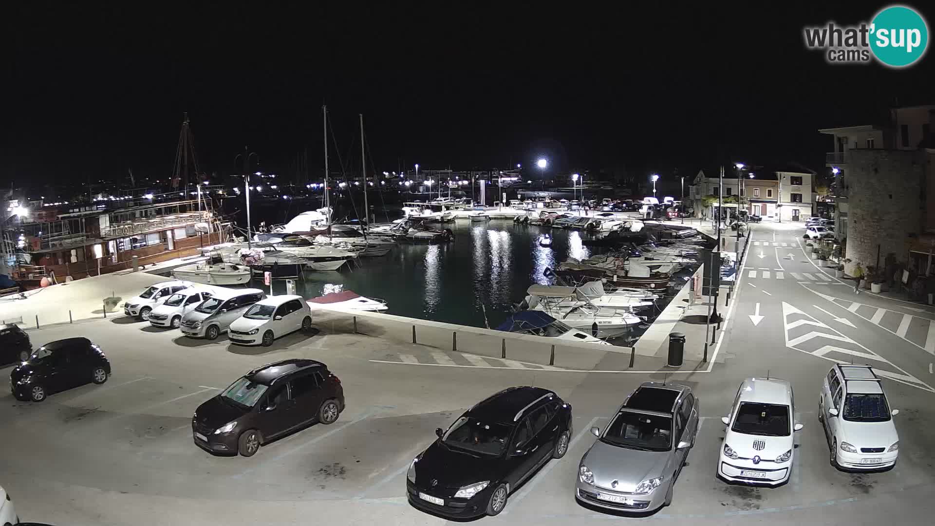 Novigrad | Porporela marina