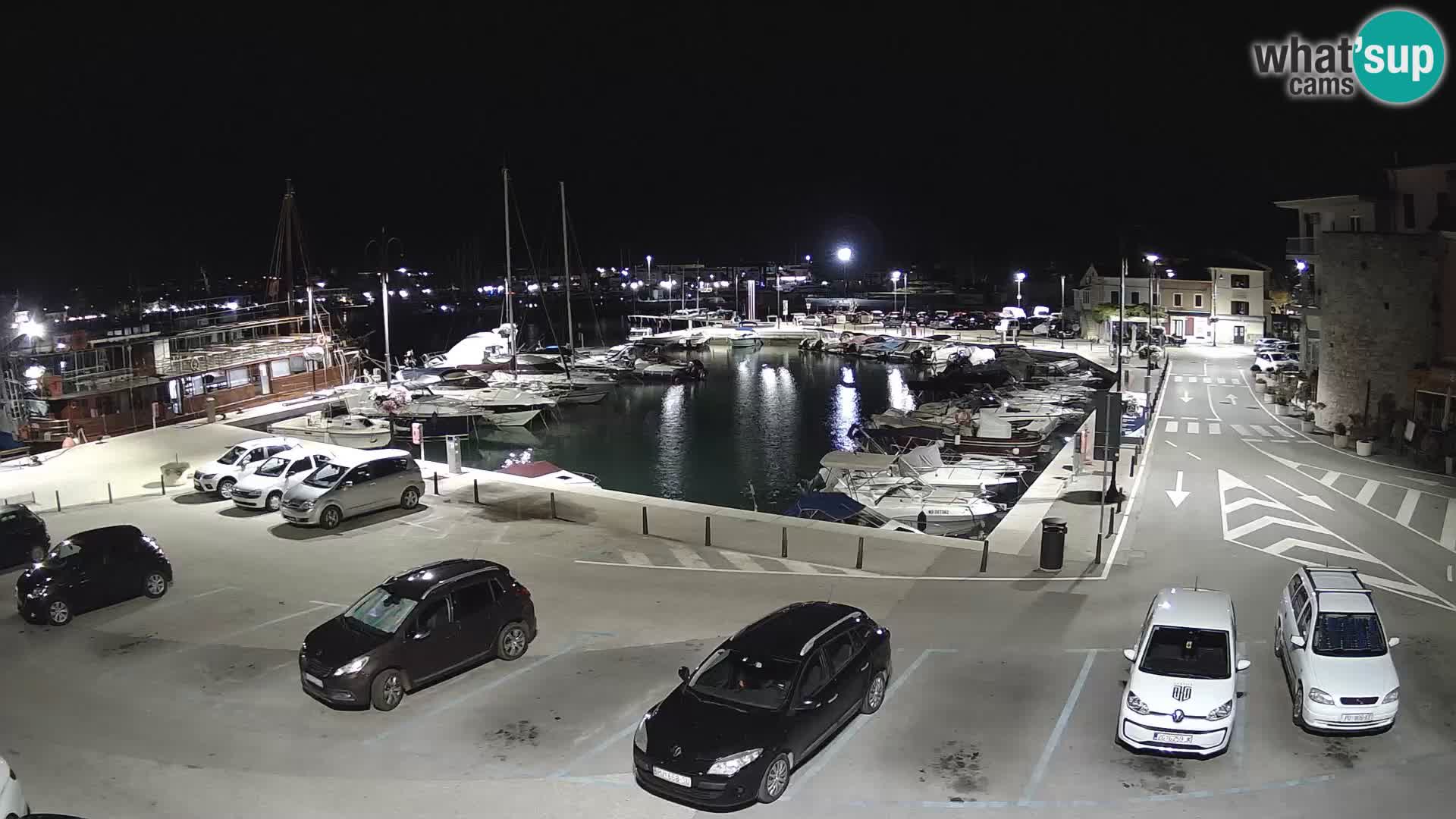 Novigrad | Porporela marina