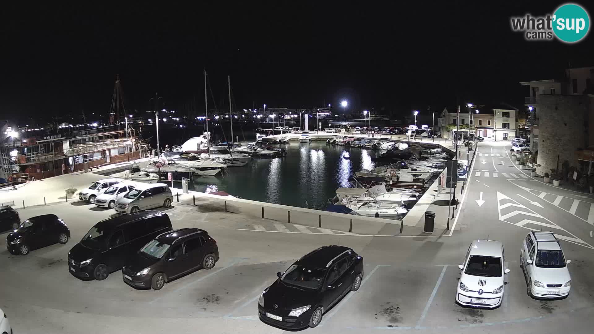 Novigrad | Porporela marina