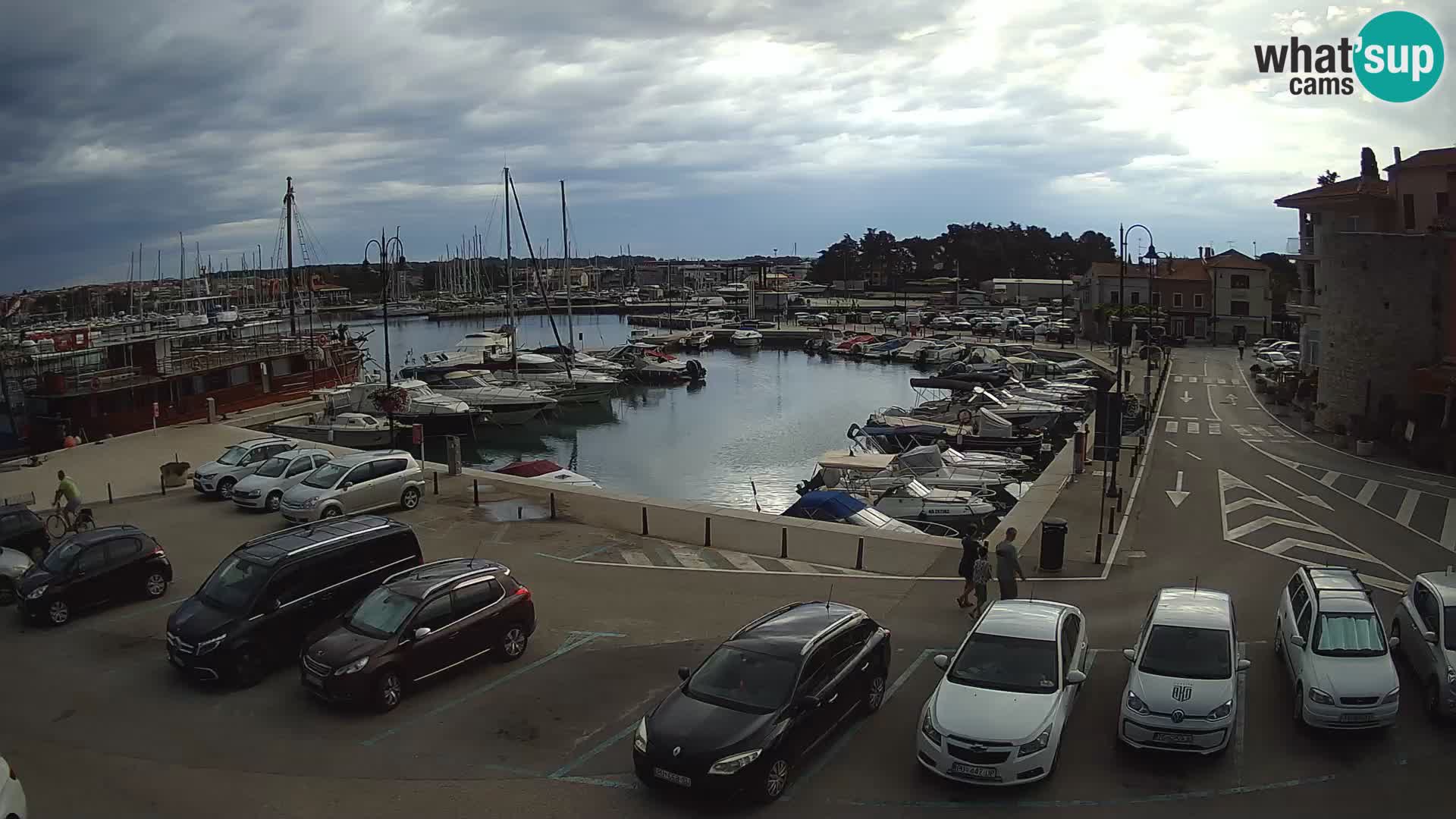 Novigrad | Porporela marina
