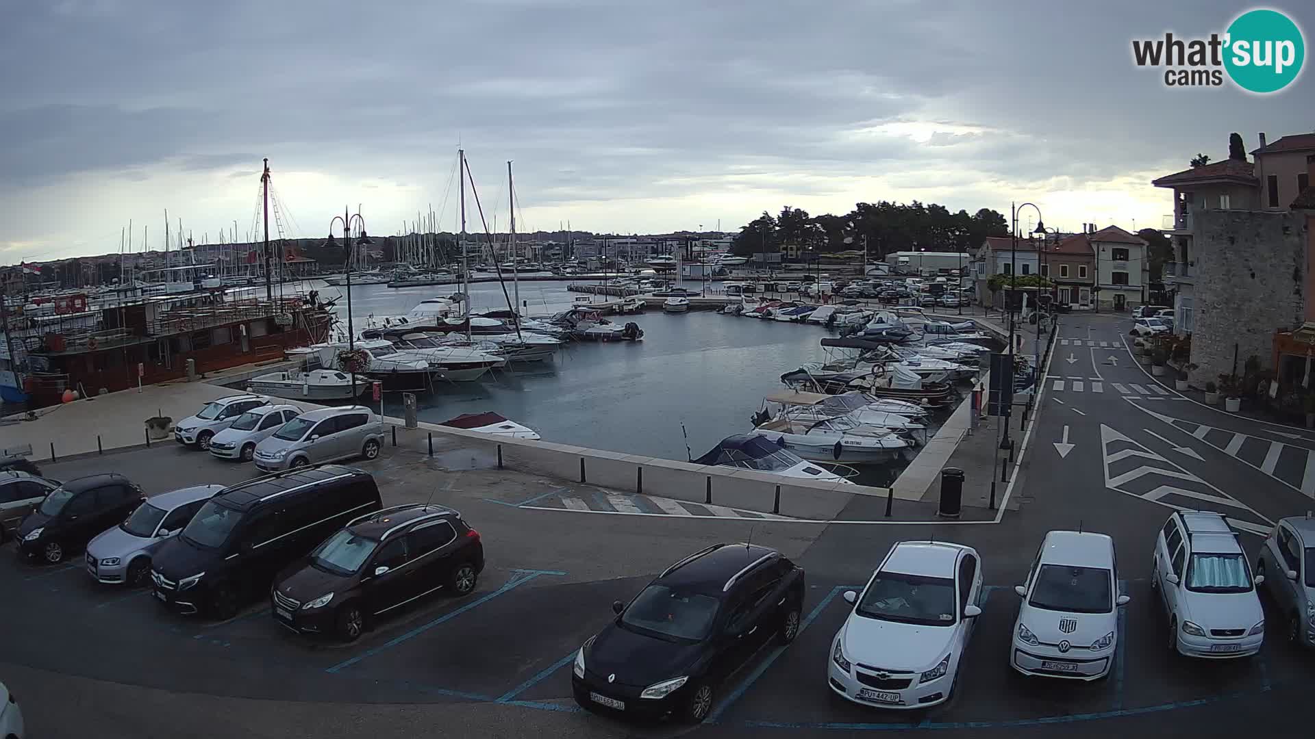 Novigrad | Porporela marina