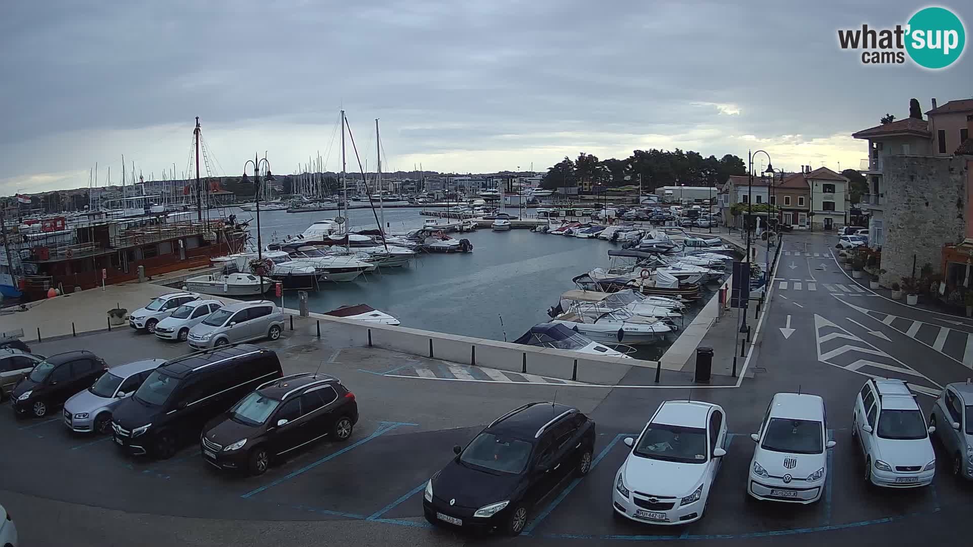 Novigrad | Porporela marina
