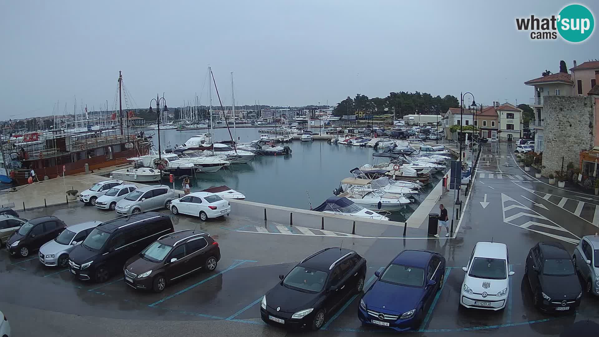 Novigrad | Porporela marina