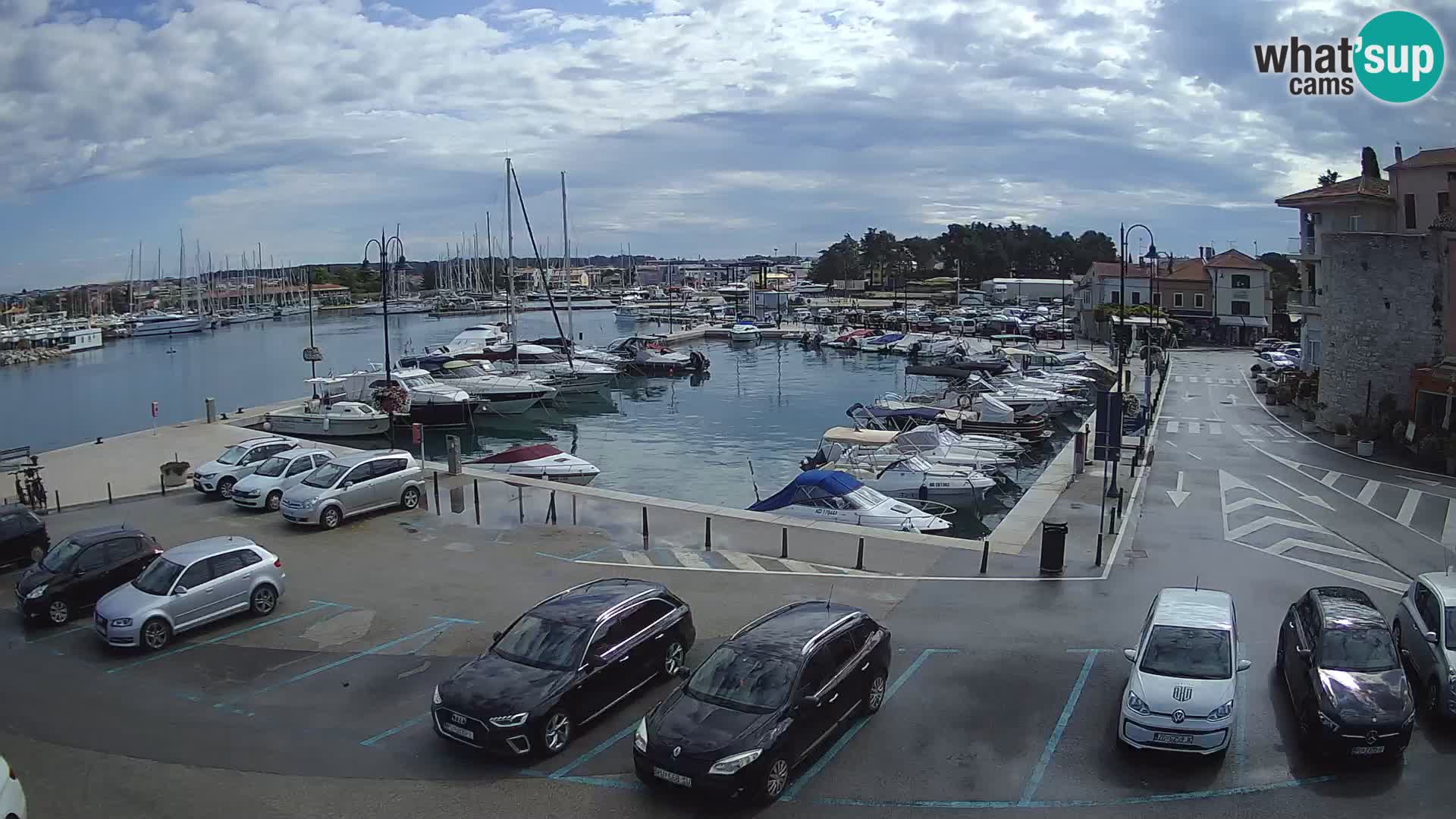 Novigrad | Porporela marina