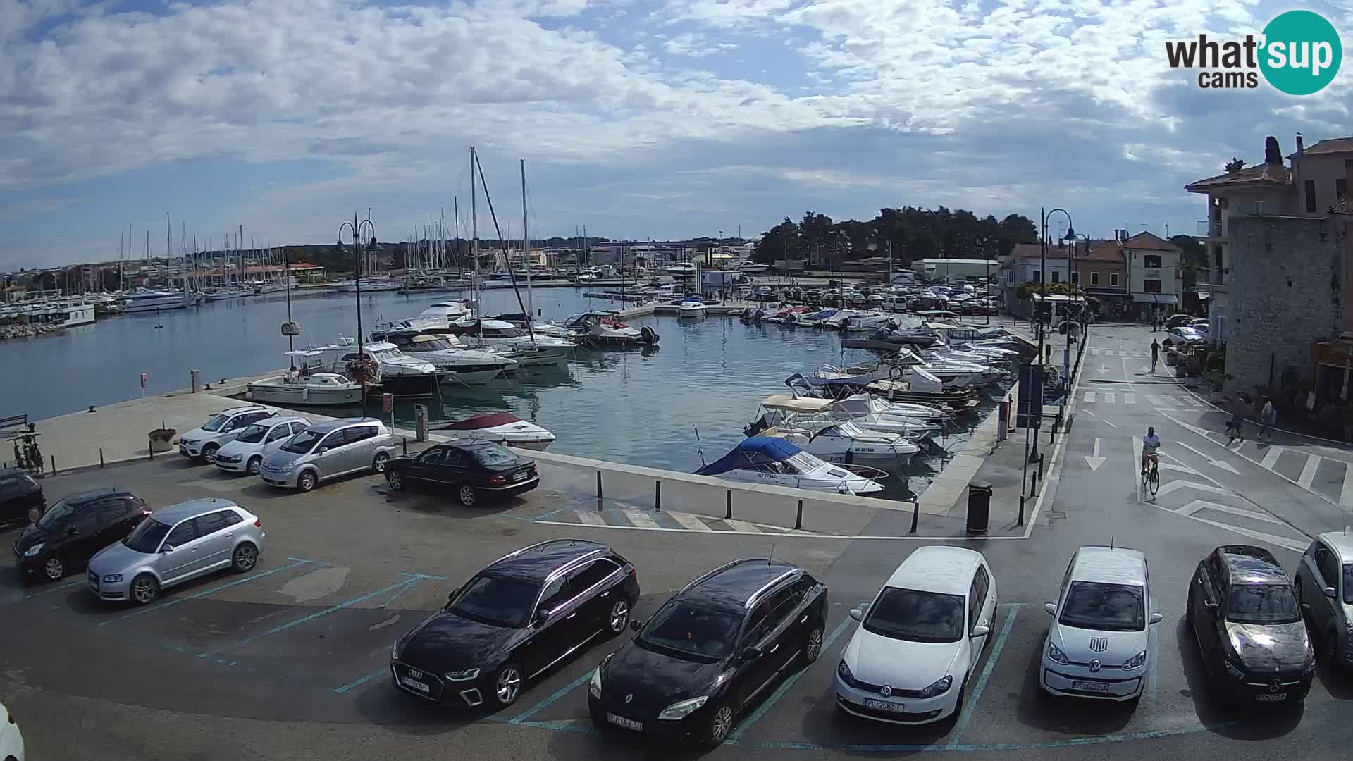 Novigrad | Porporela marina