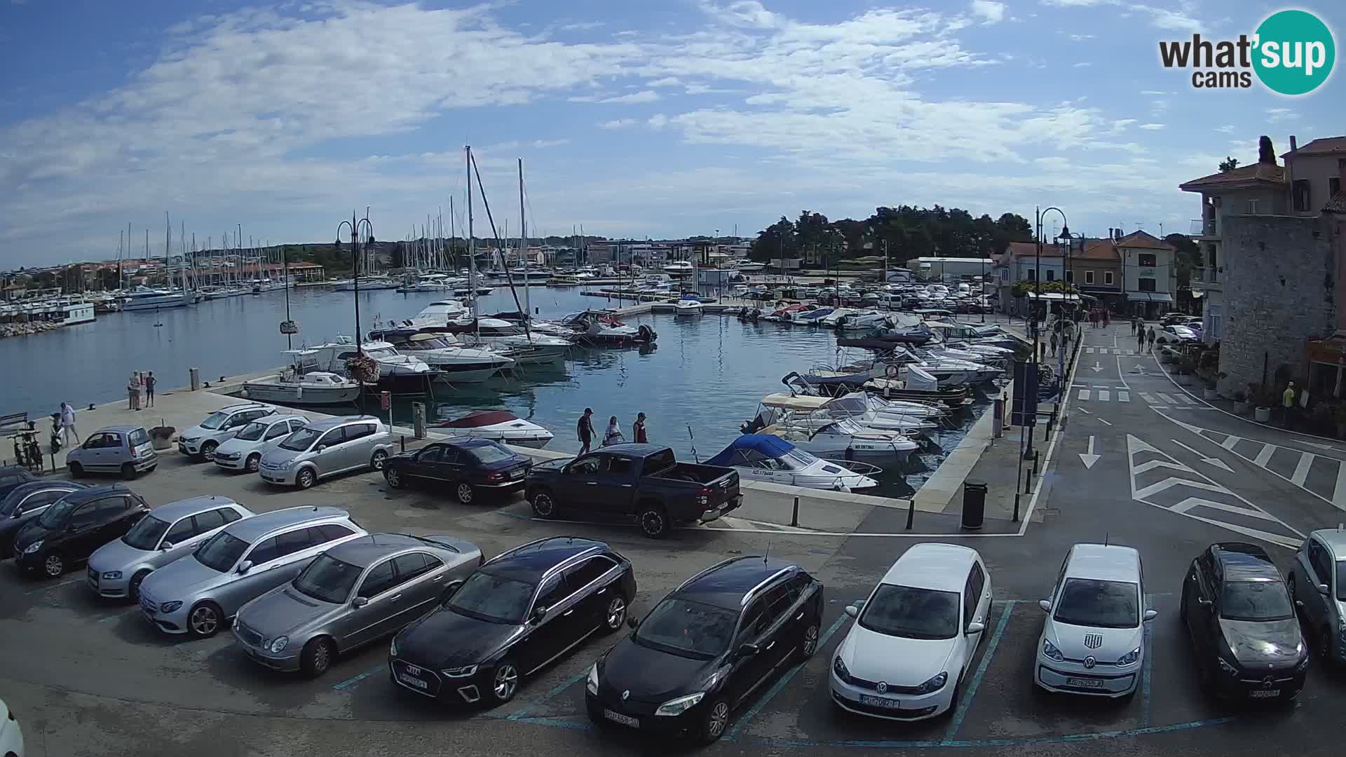Novigrad | Porporela marina