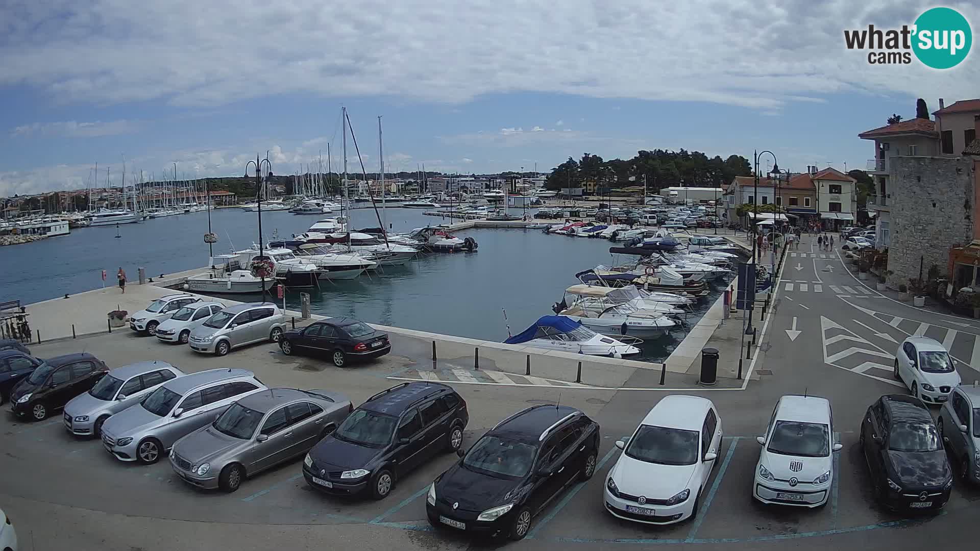 Novigrad | Porporela marina