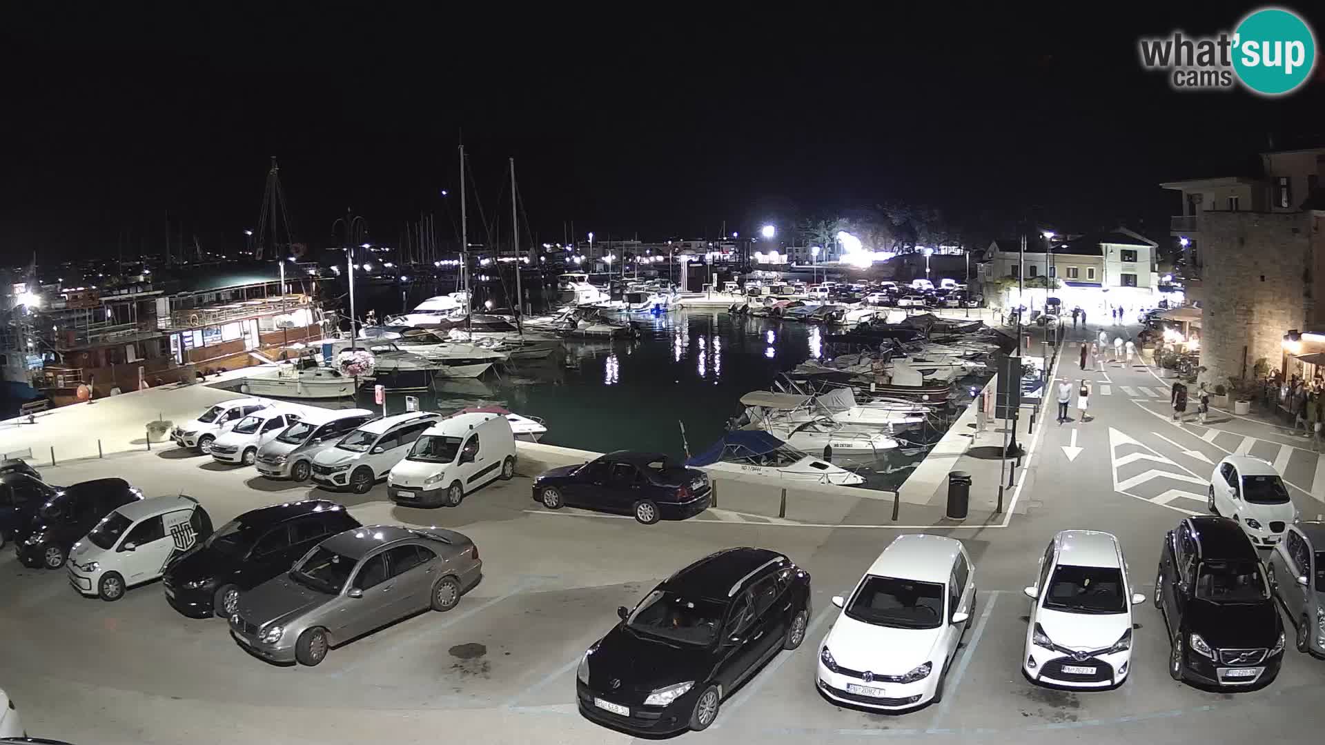 Novigrad | Porporela marina