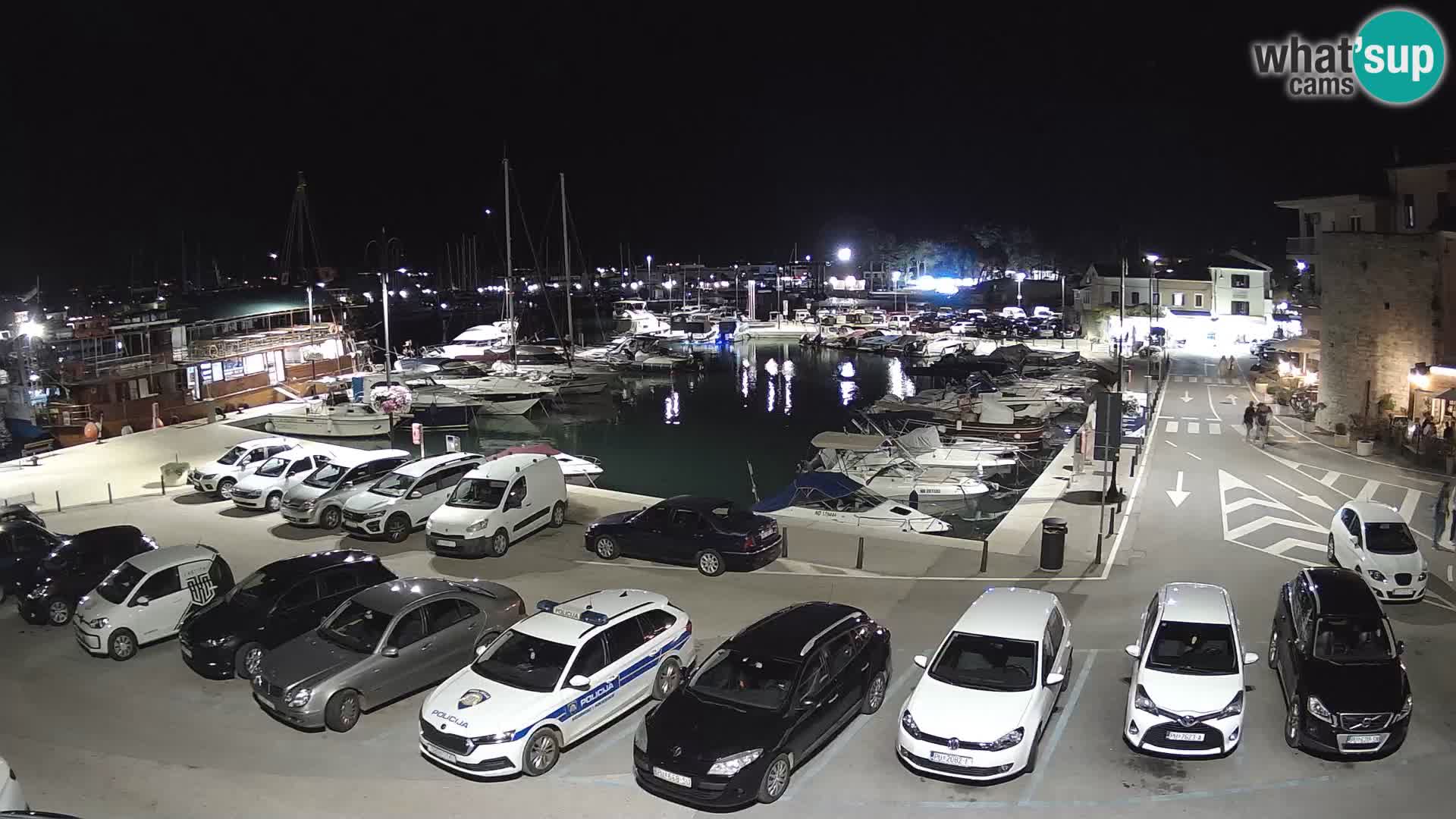 Novigrad | Porporela marina