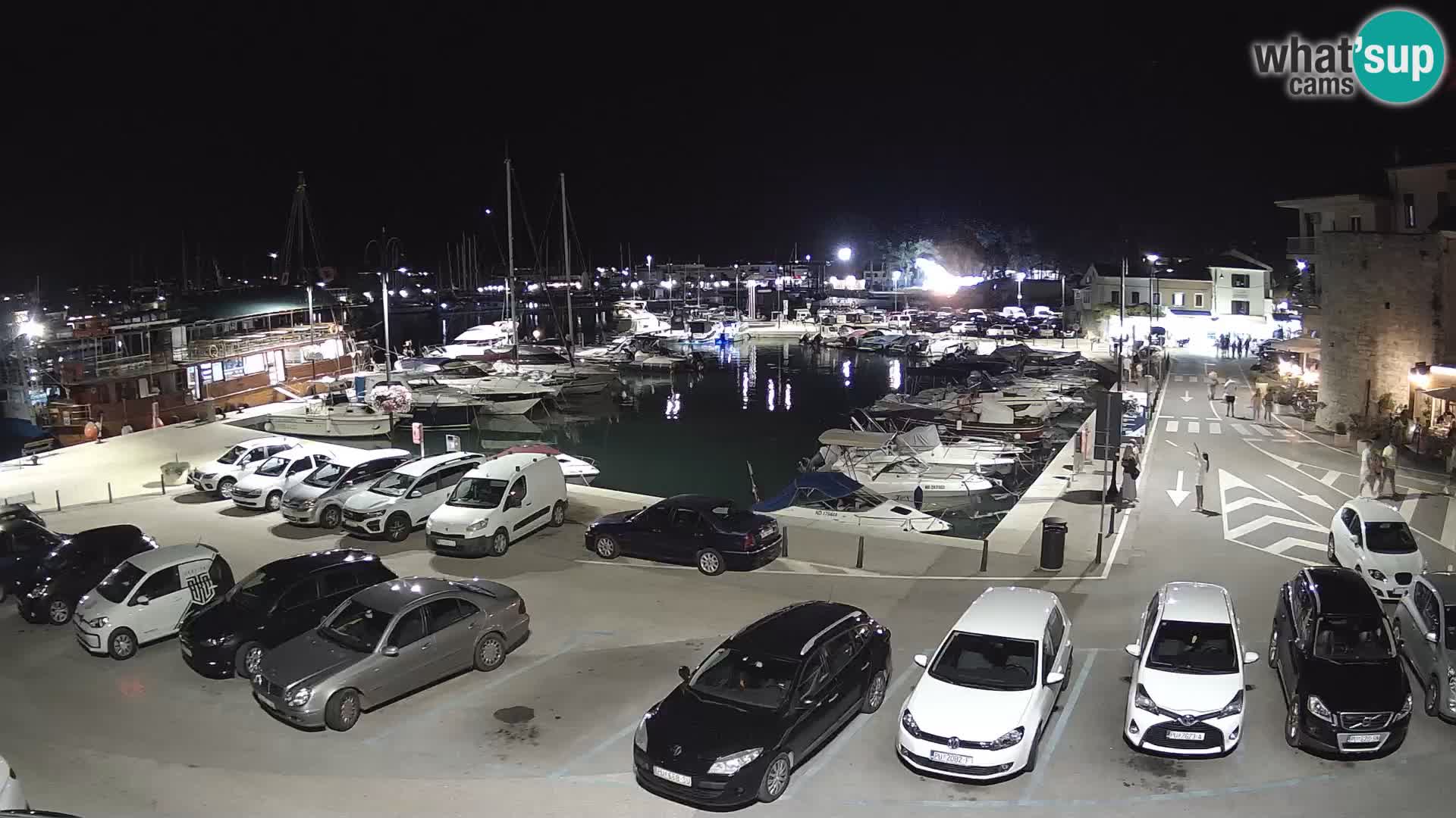 Novigrad | Porporela marina