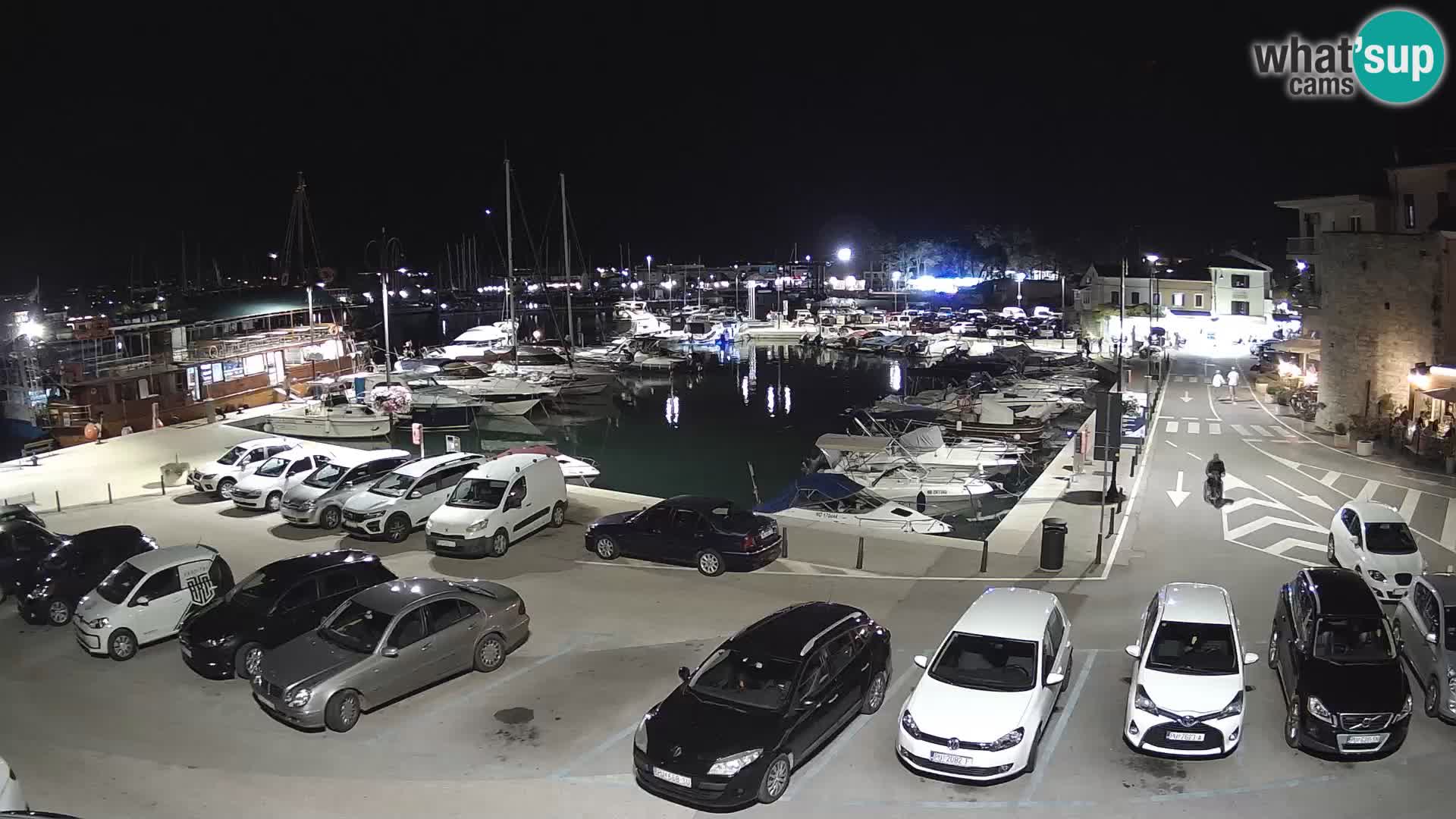 Novigrad | Porporela marina