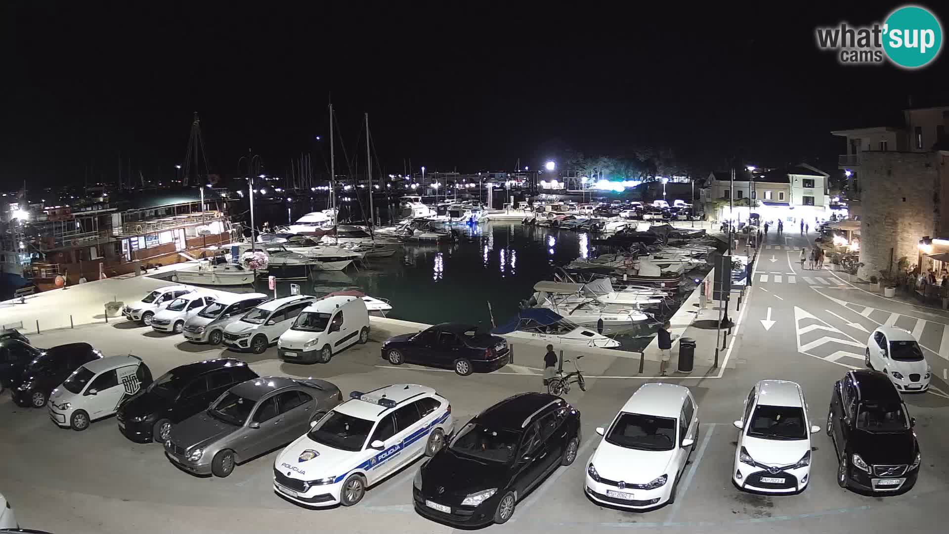 Novigrad | Porporela marina