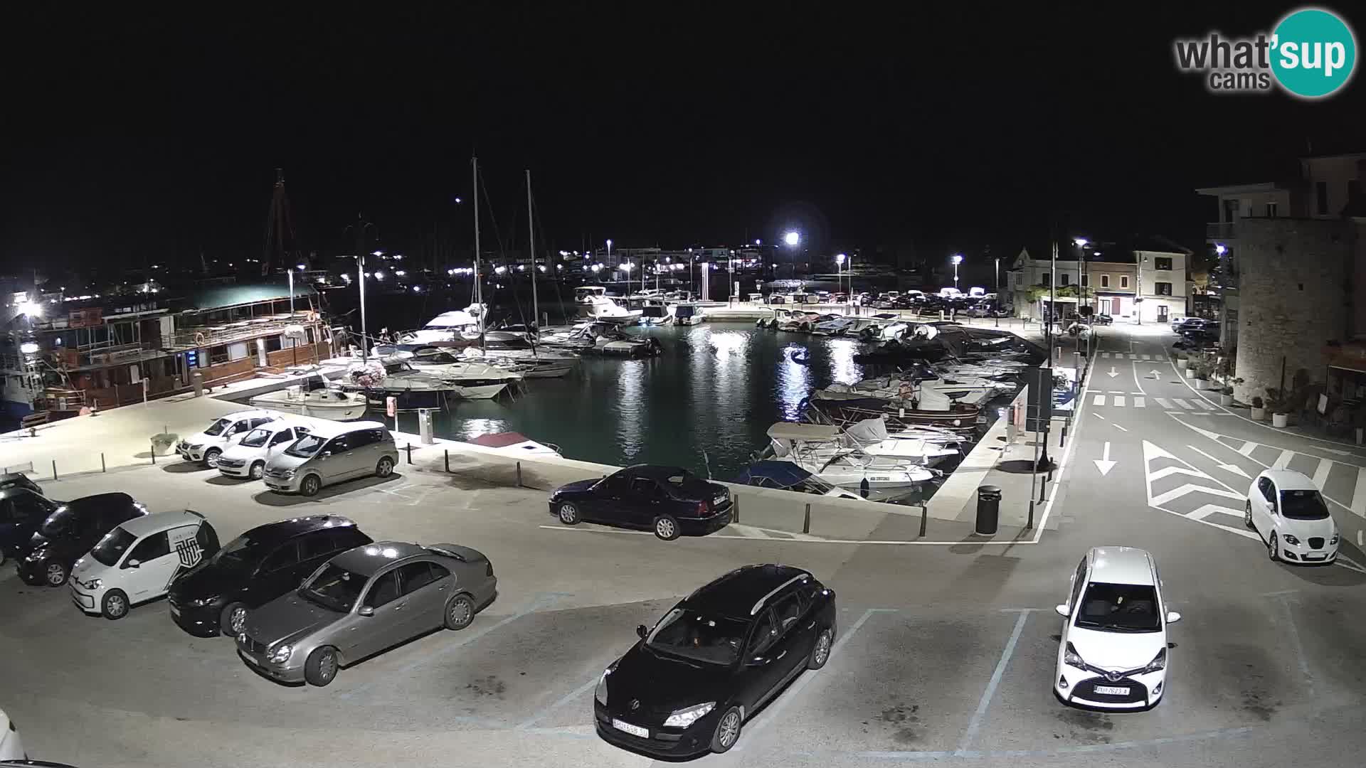 Novigrad | Porporela marina