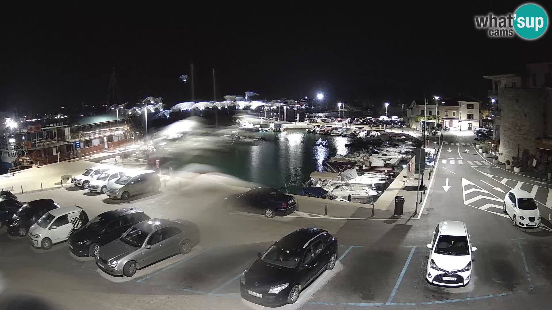 Novigrad | Porporela marina