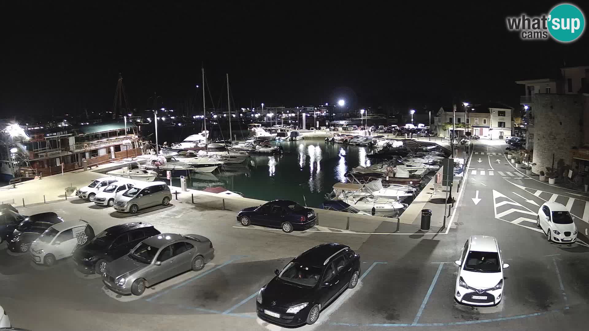 Novigrad | Porporela marina