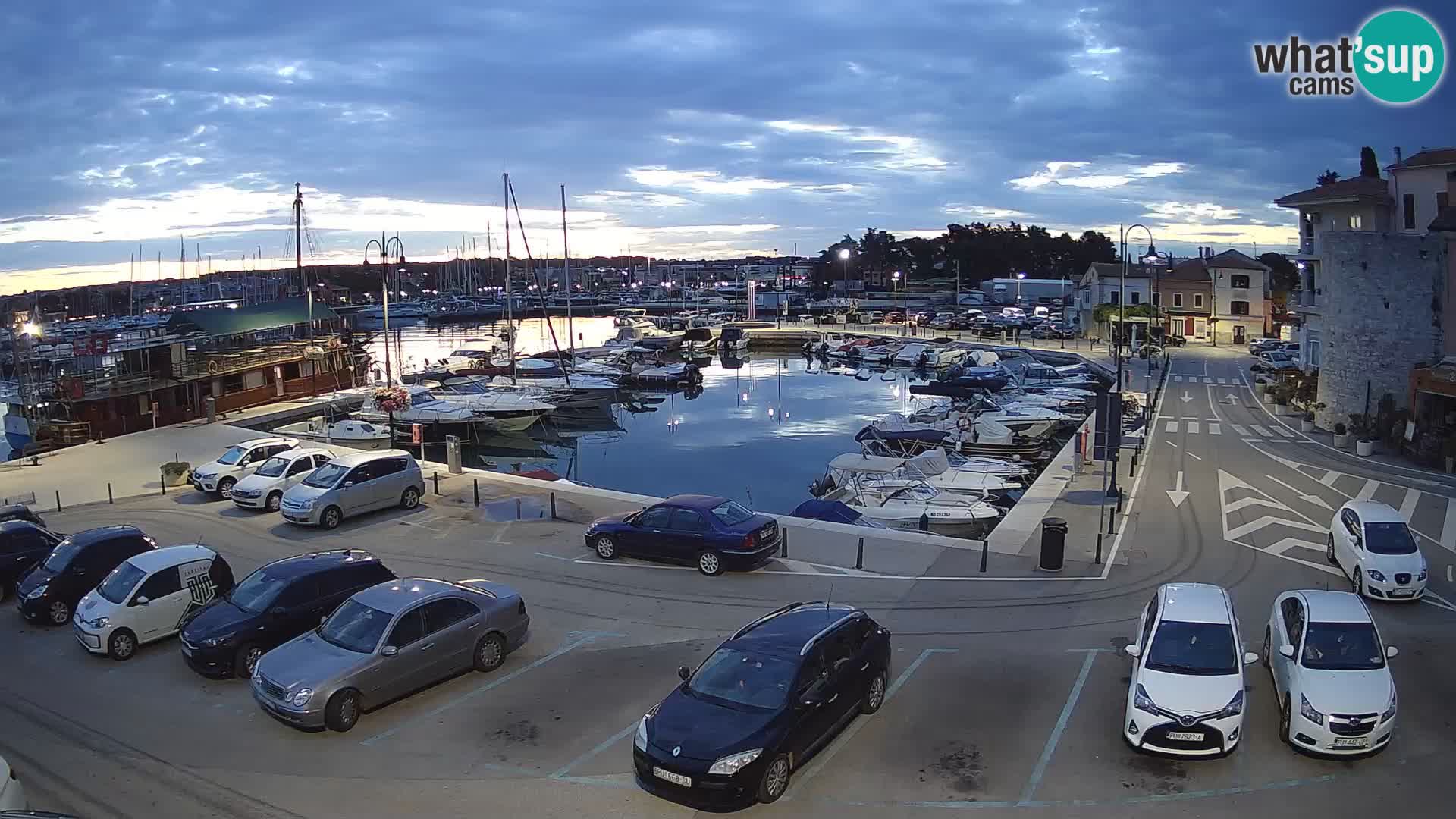 Novigrad | Porporela marina