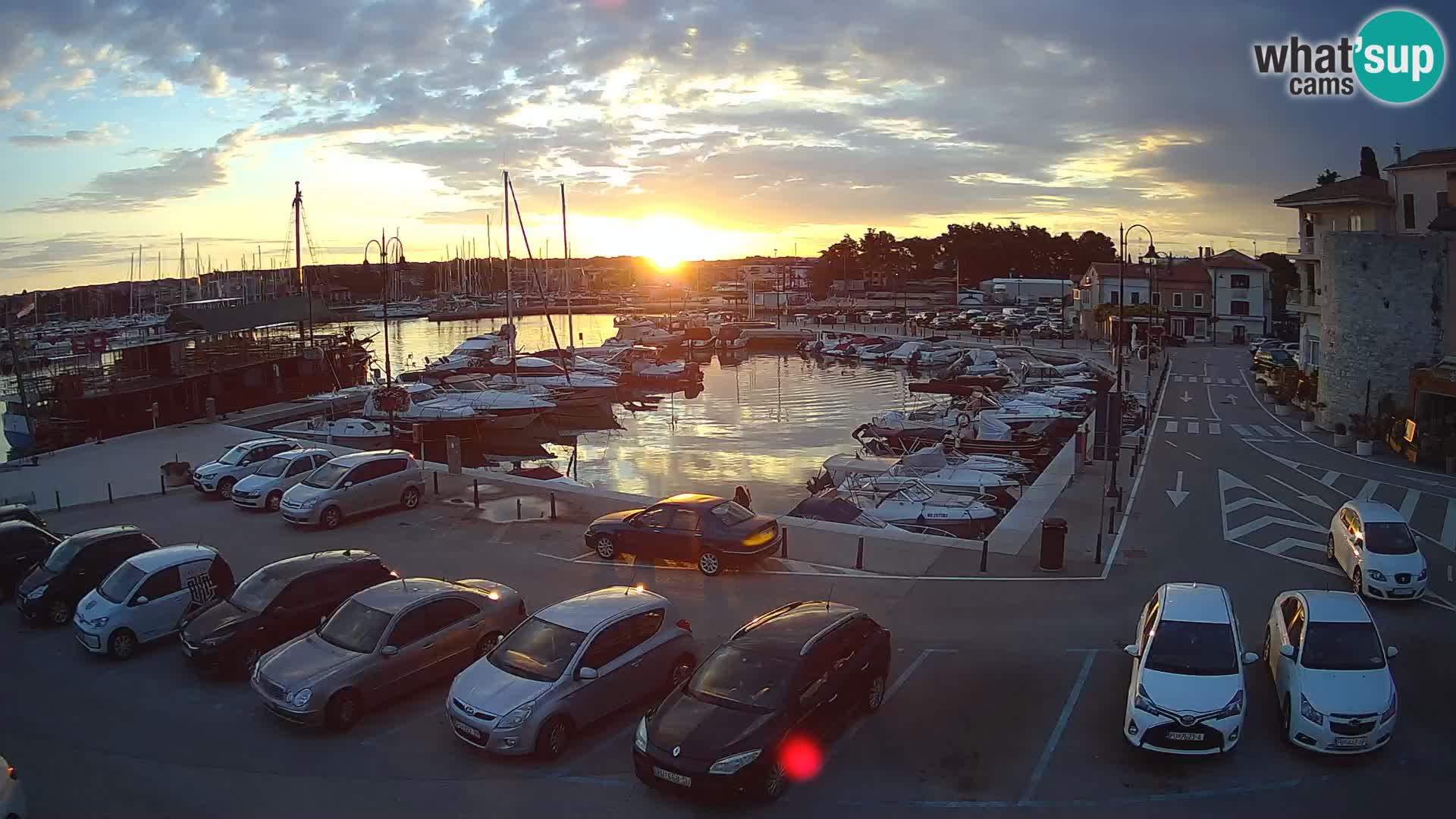 Novigrad | Porporela marina