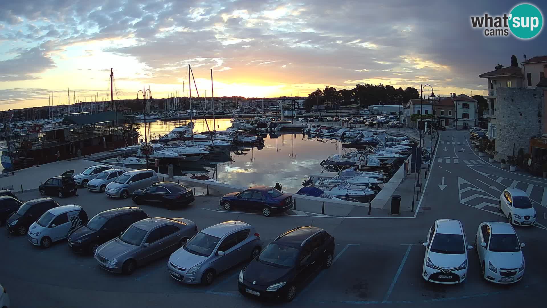 Novigrad | Porporela marina