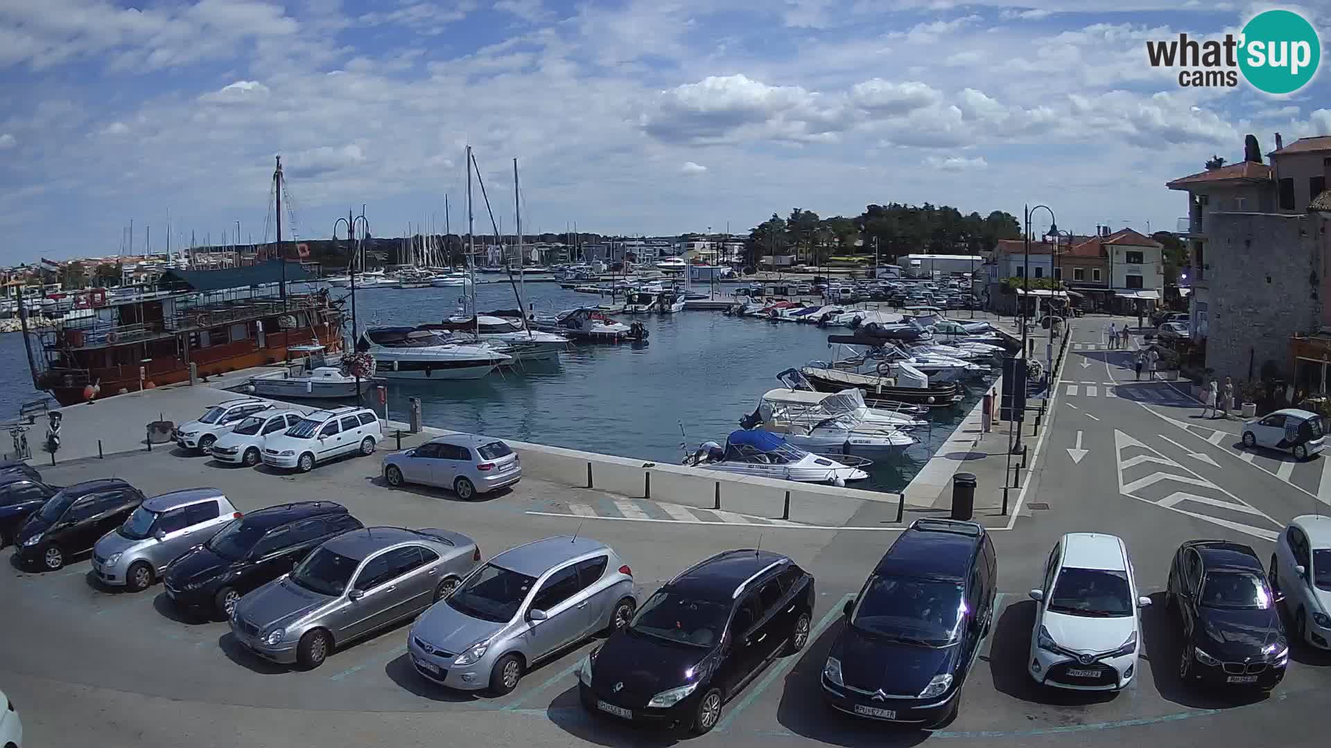 Novigrad | Porporela marina