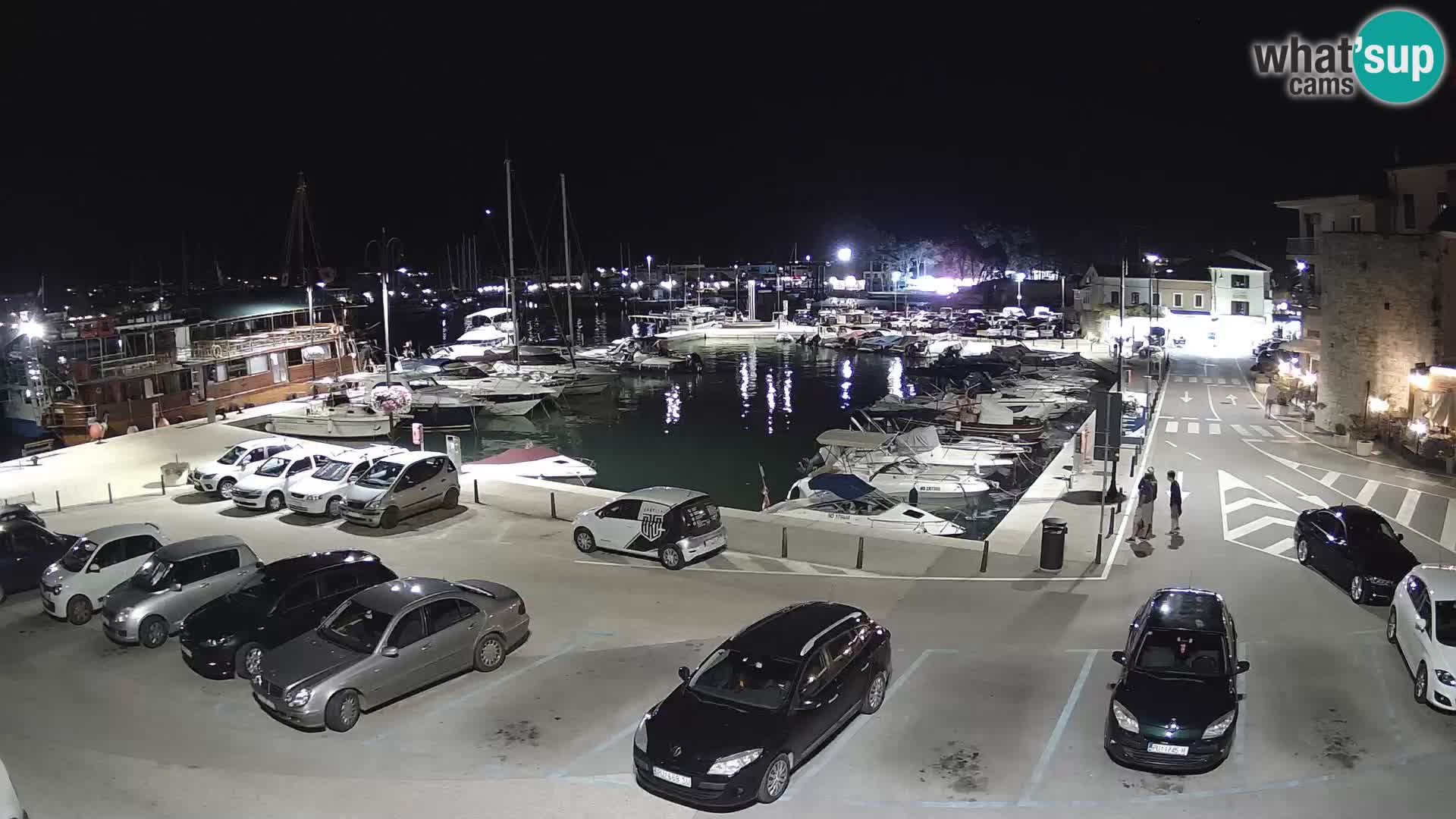 Novigrad | Porporela marina