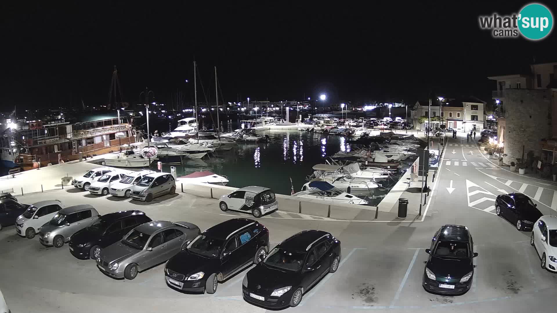 Novigrad | Porporela marina