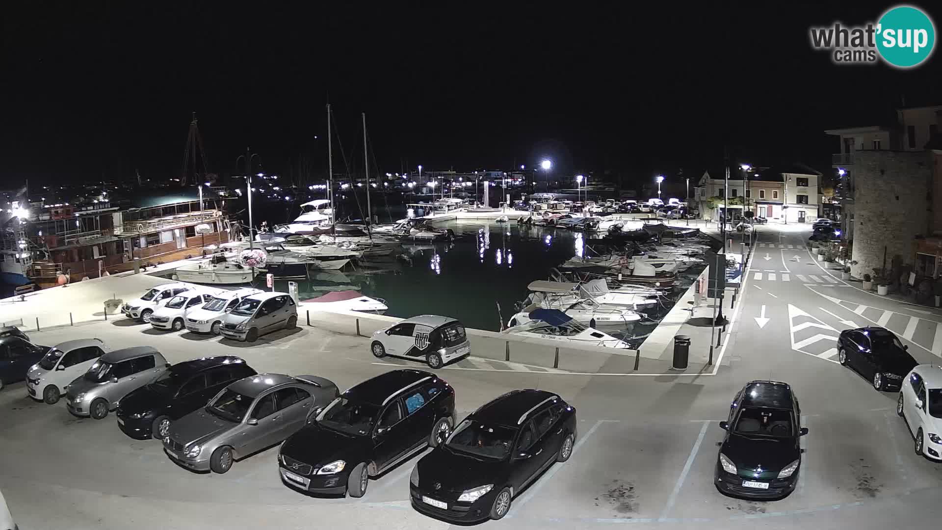 Novigrad | Porporela marina