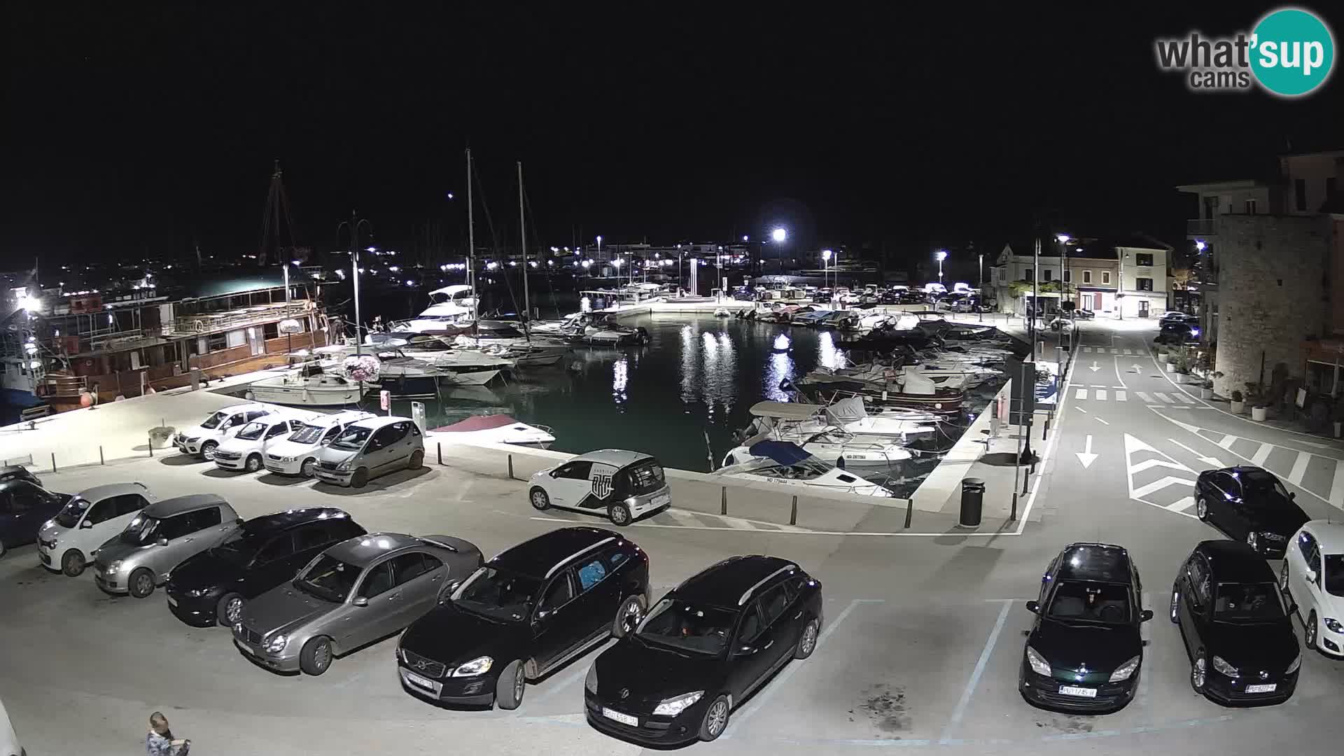 Novigrad | Porporela marina