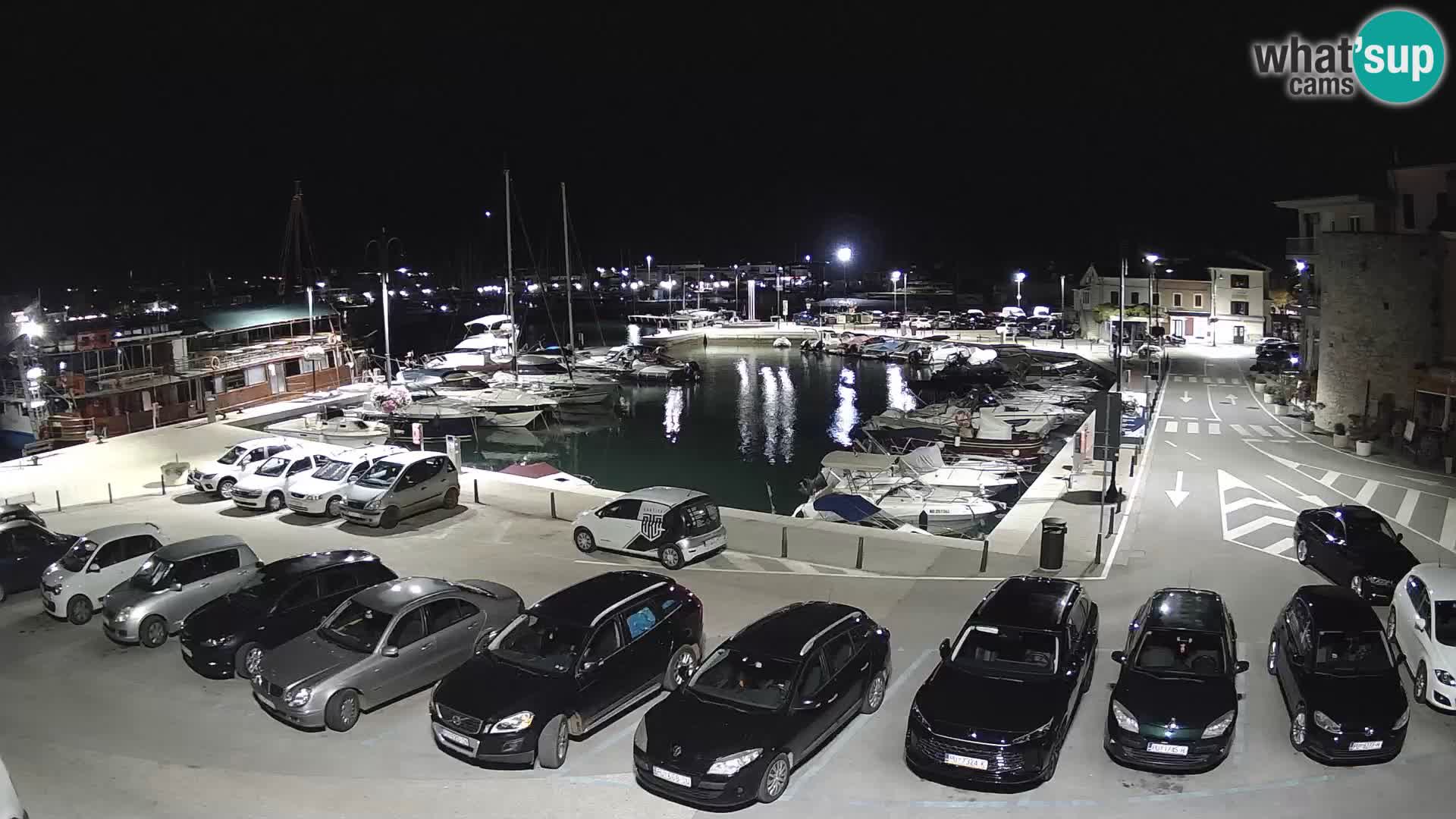 Novigrad | Porporela marina