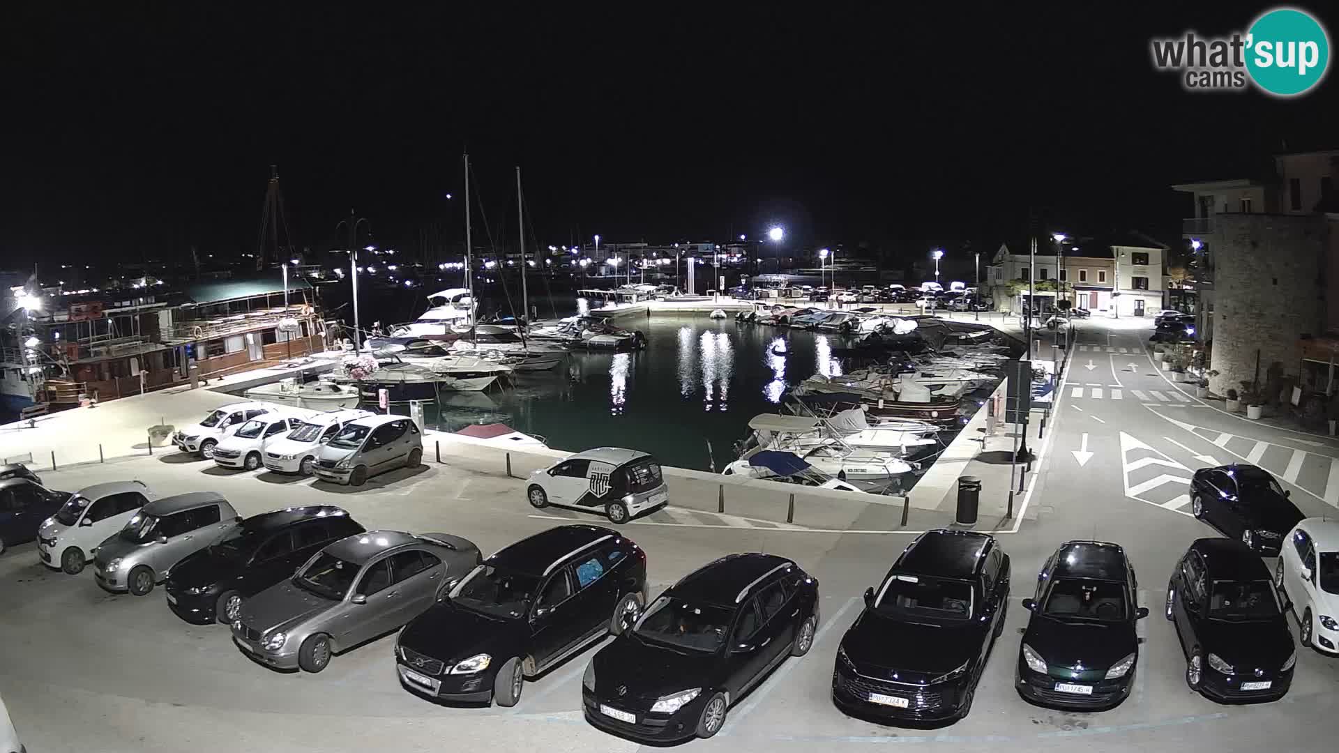 Novigrad | Porporela marina