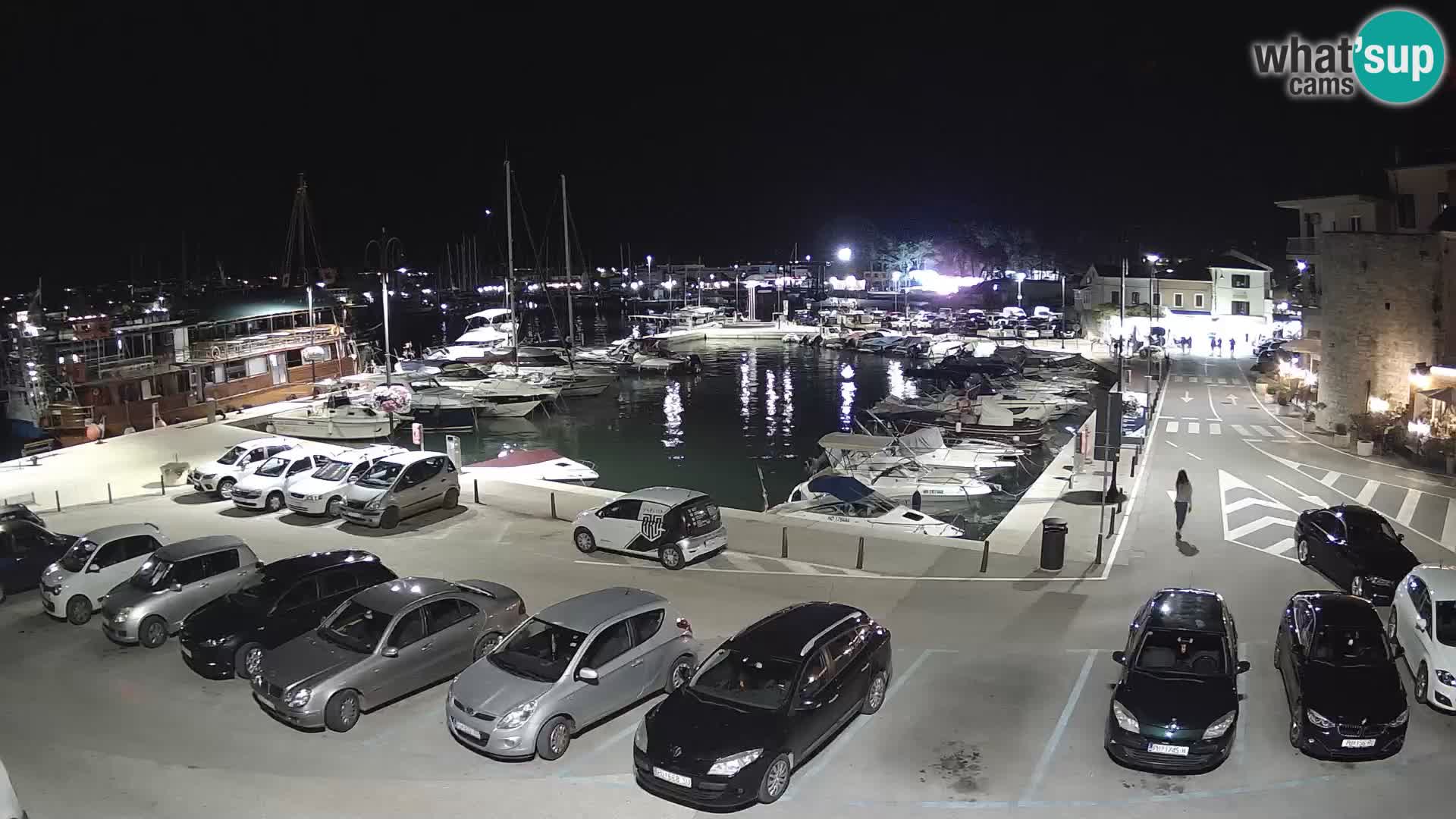 Novigrad | Porporela marina