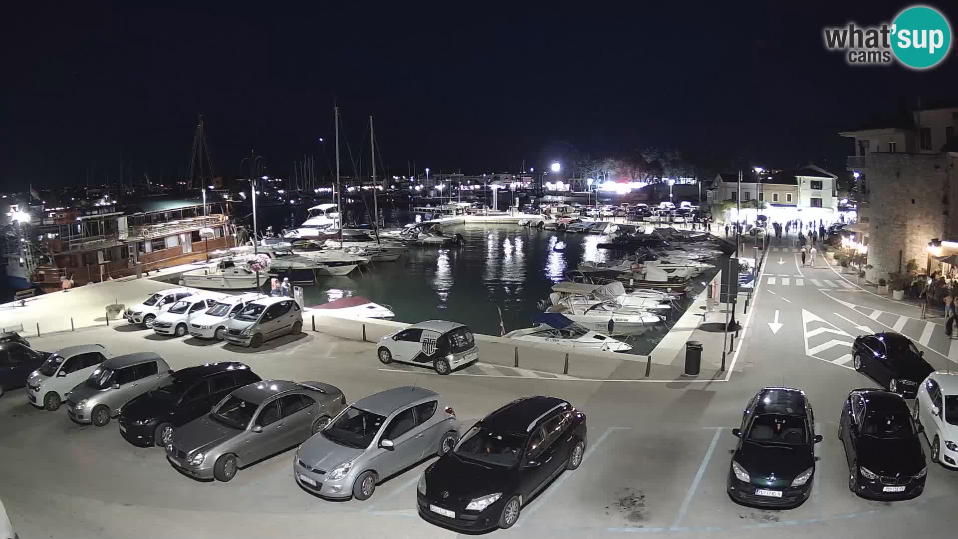 Novigrad | Porporela marina