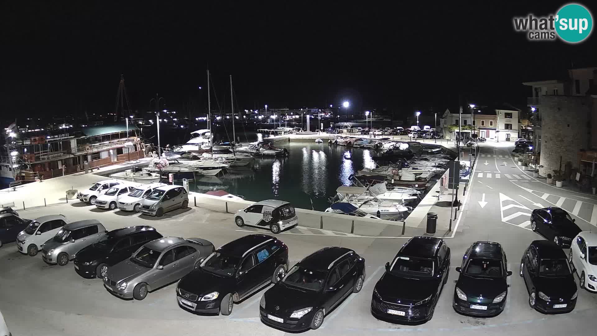 Novigrad | Porporela marina