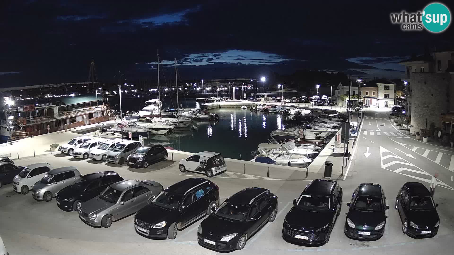 Novigrad | Porporela marina