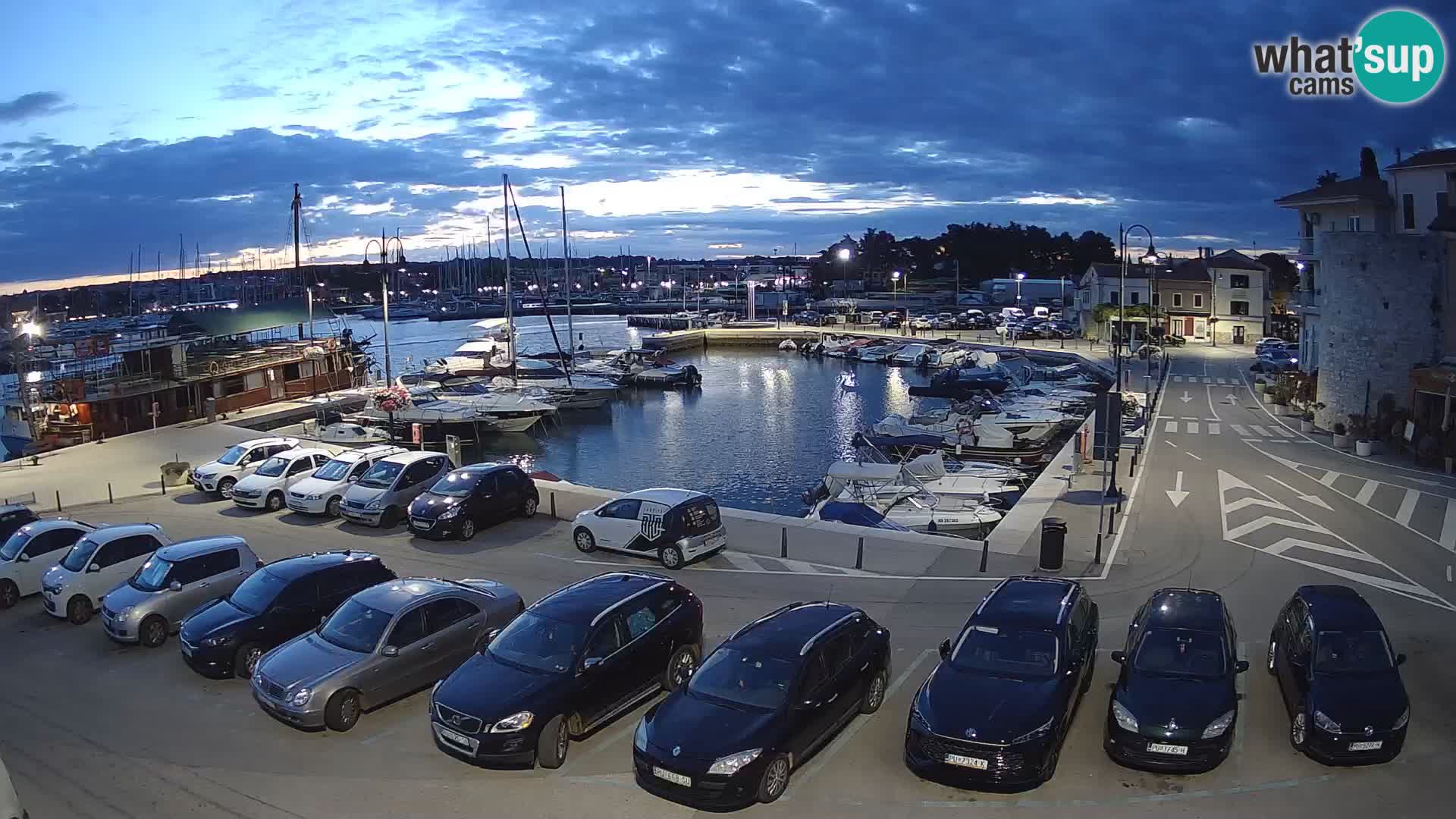 Novigrad | Porporela marina