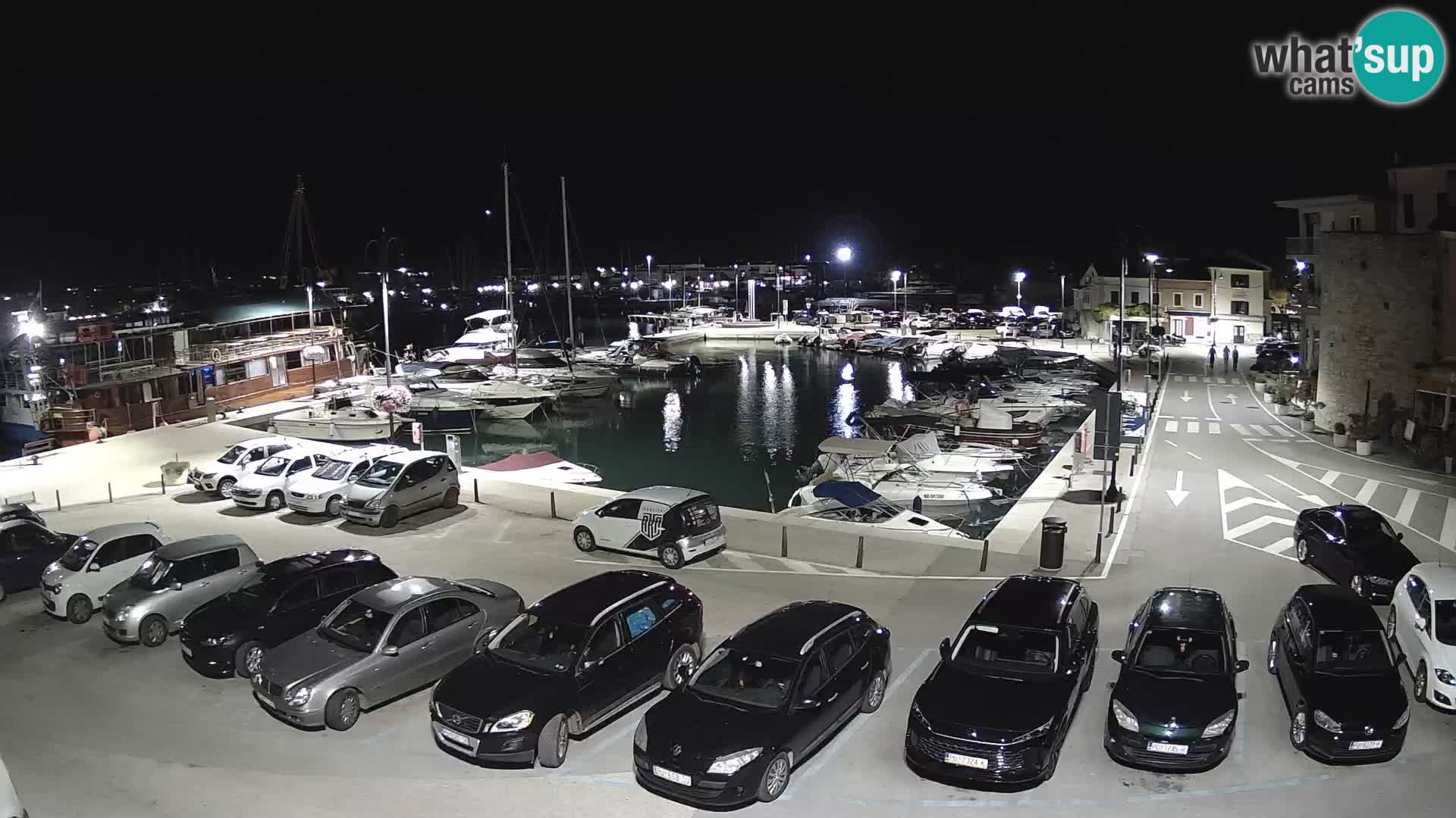 Novigrad | Porporela marina