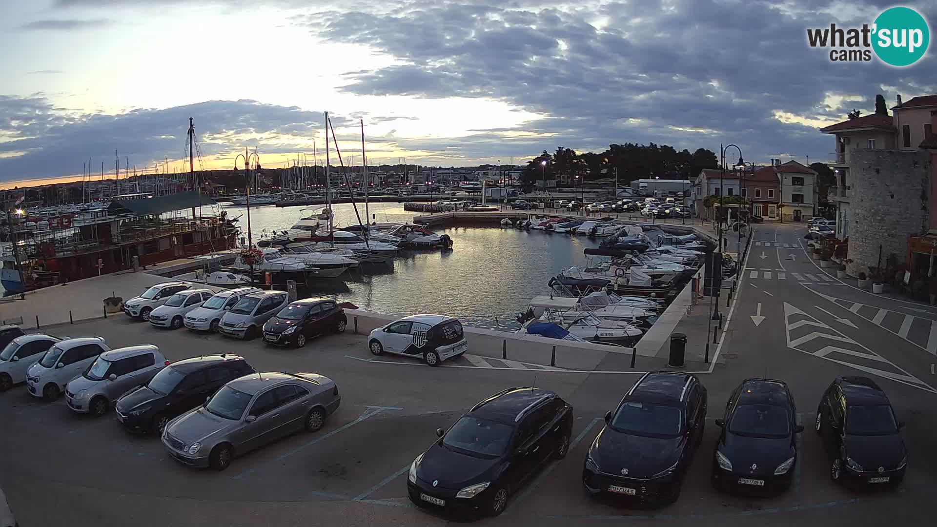 Novigrad | Porporela marina