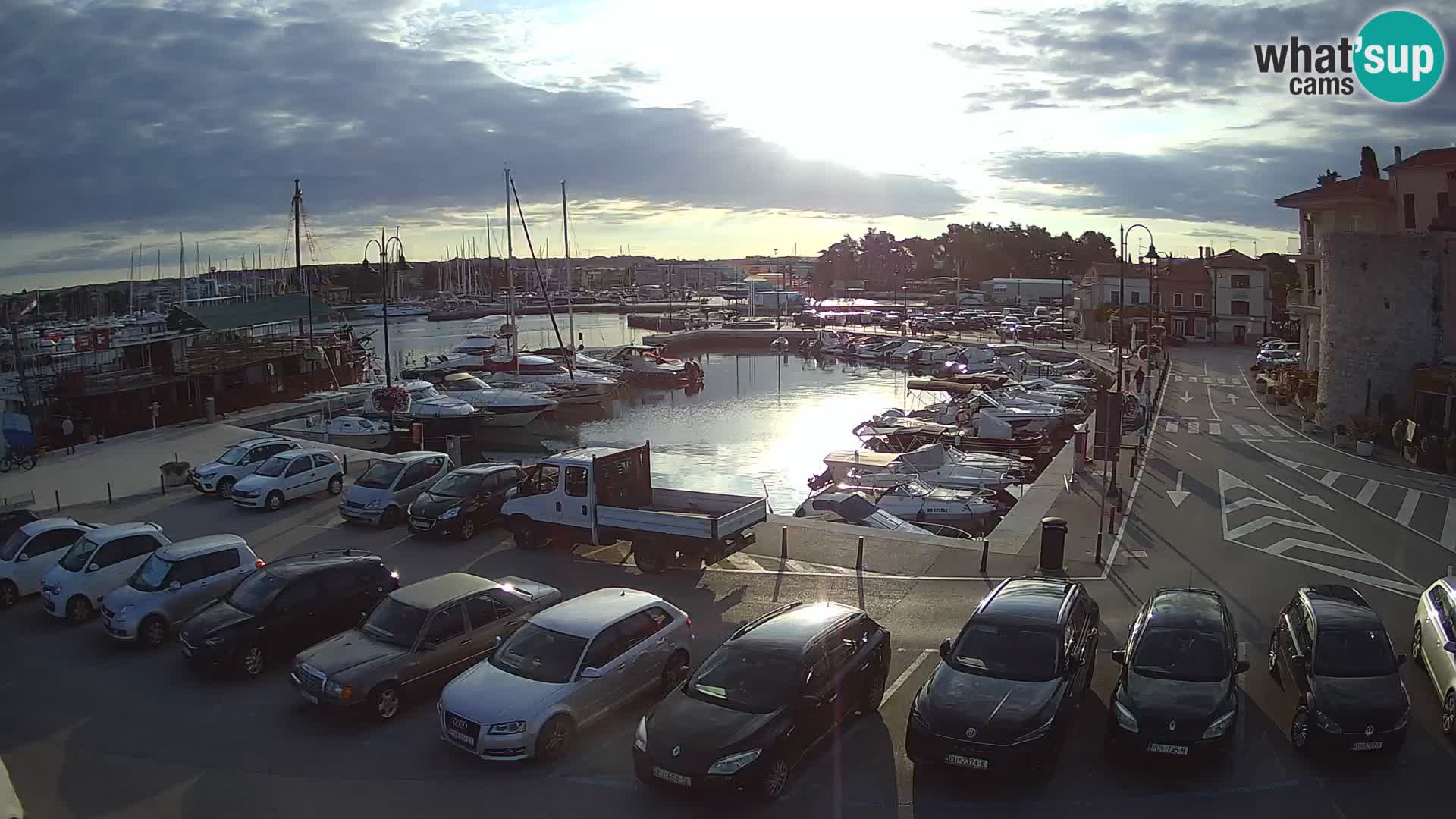 Novigrad | Porporela marina