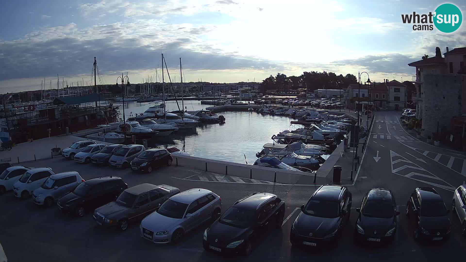 Novigrad | Porporela marina