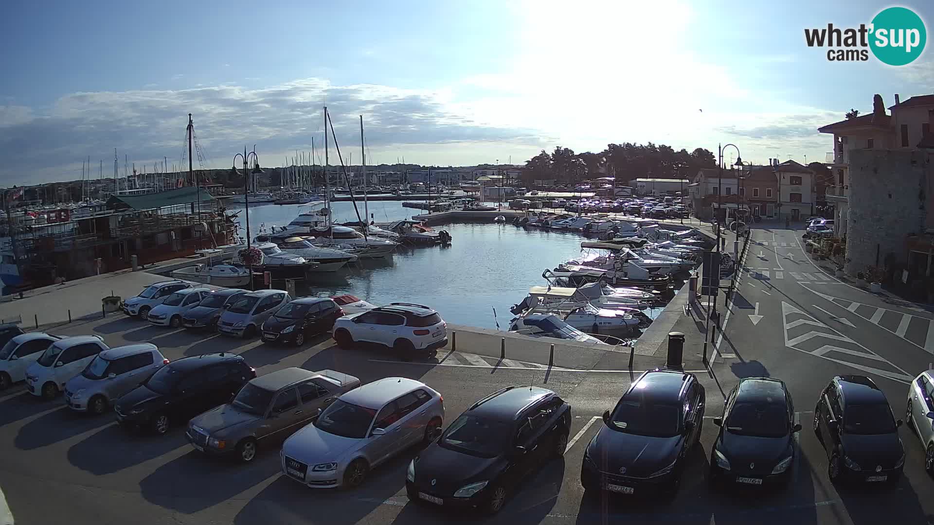 Novigrad | Porporela marina