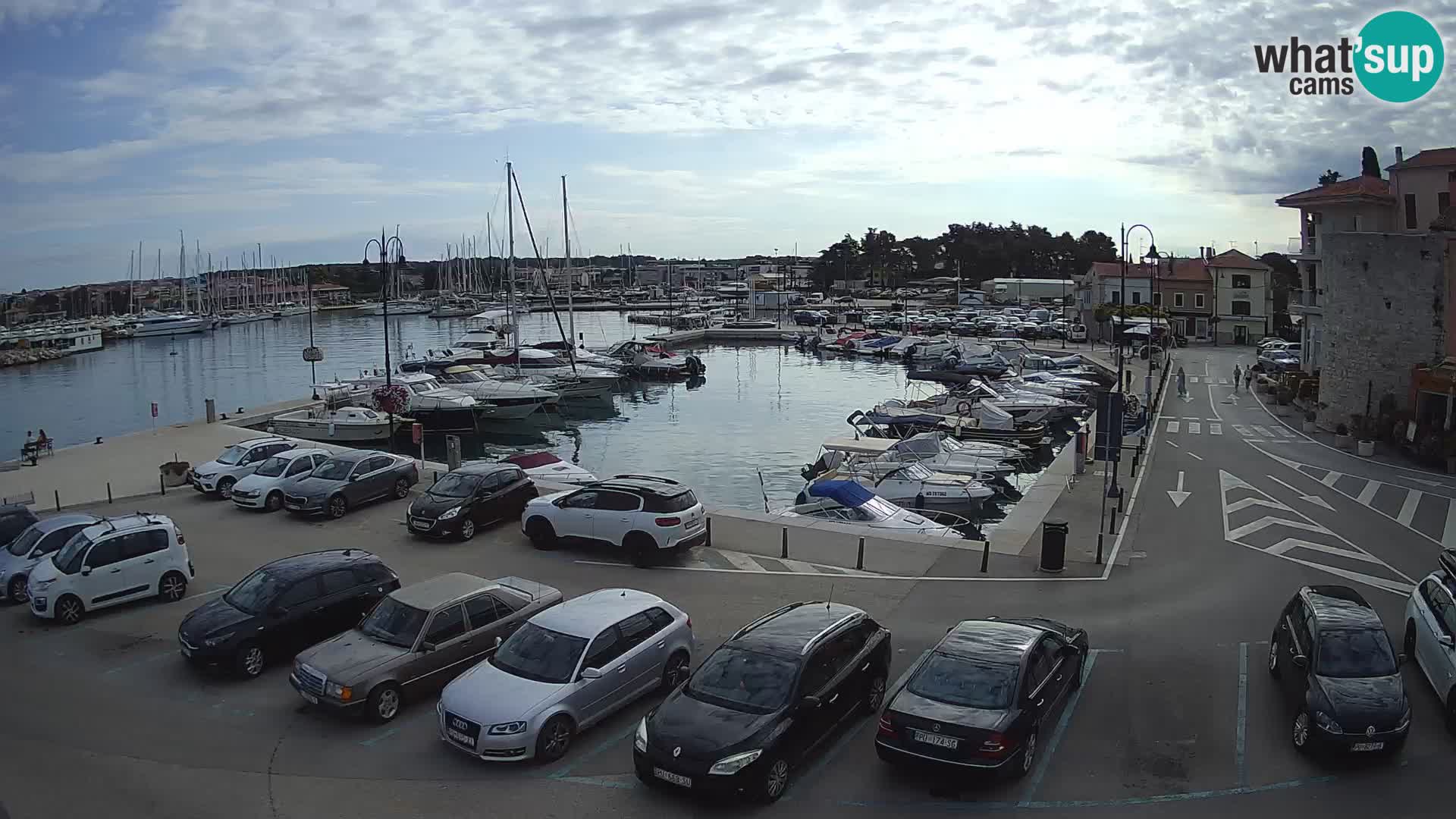 Novigrad | Porporela marina