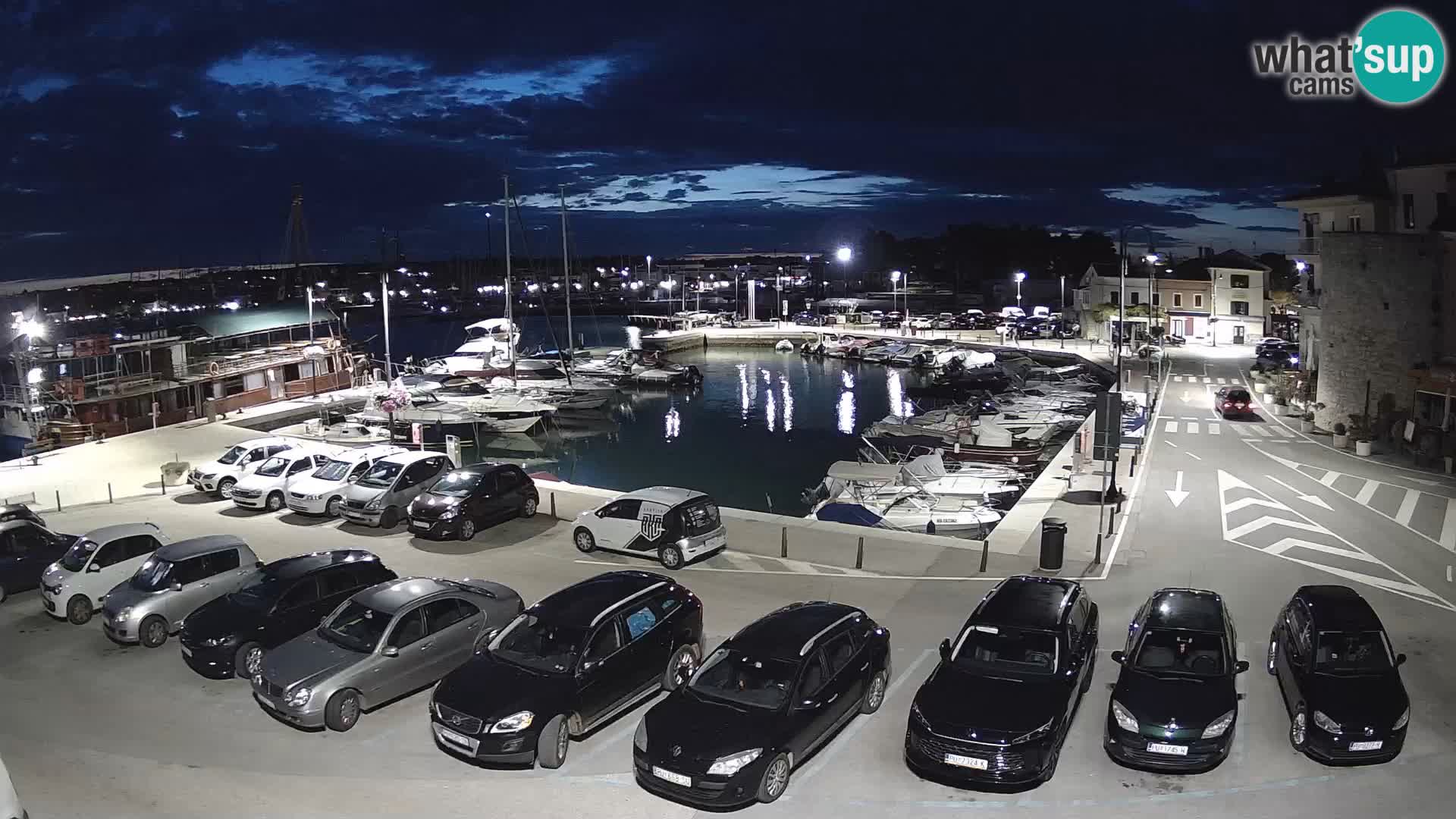 Novigrad | Porporela marina