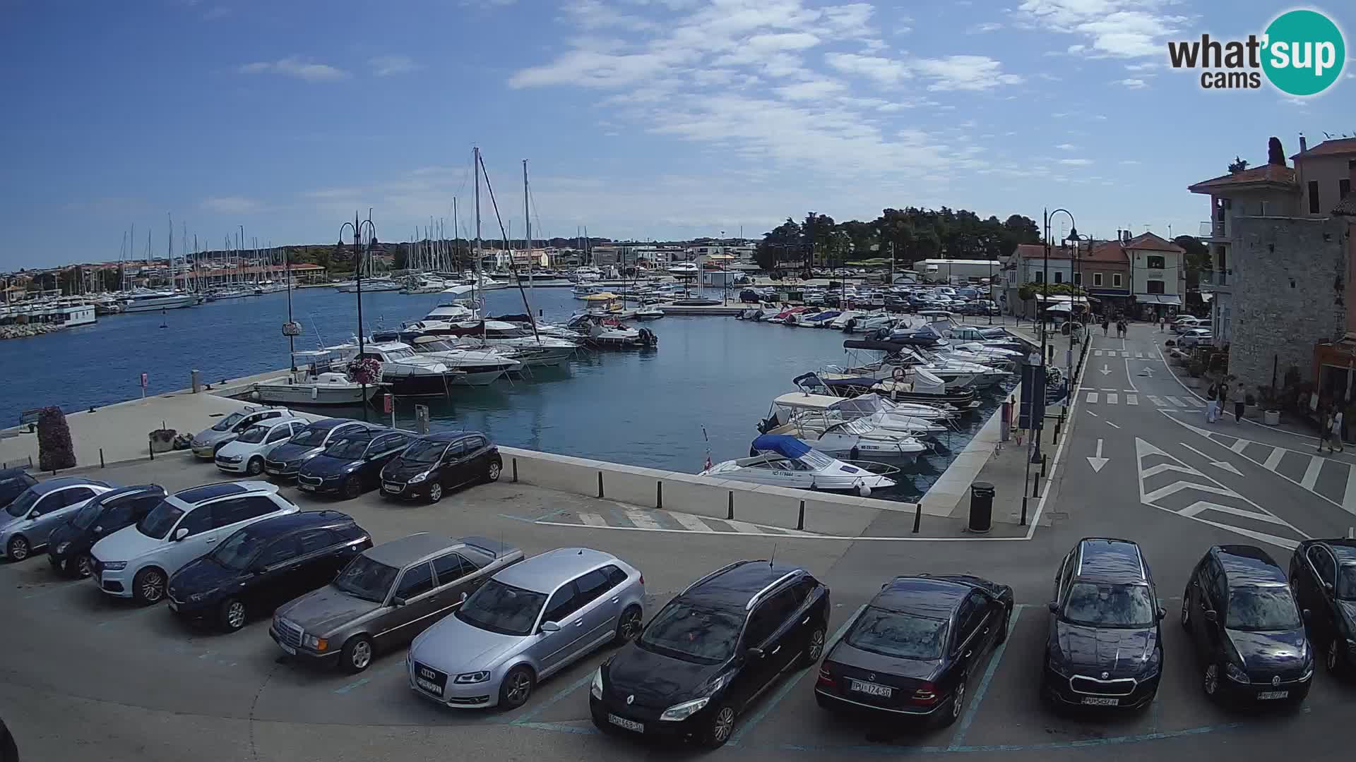 Novigrad | Porporela marina