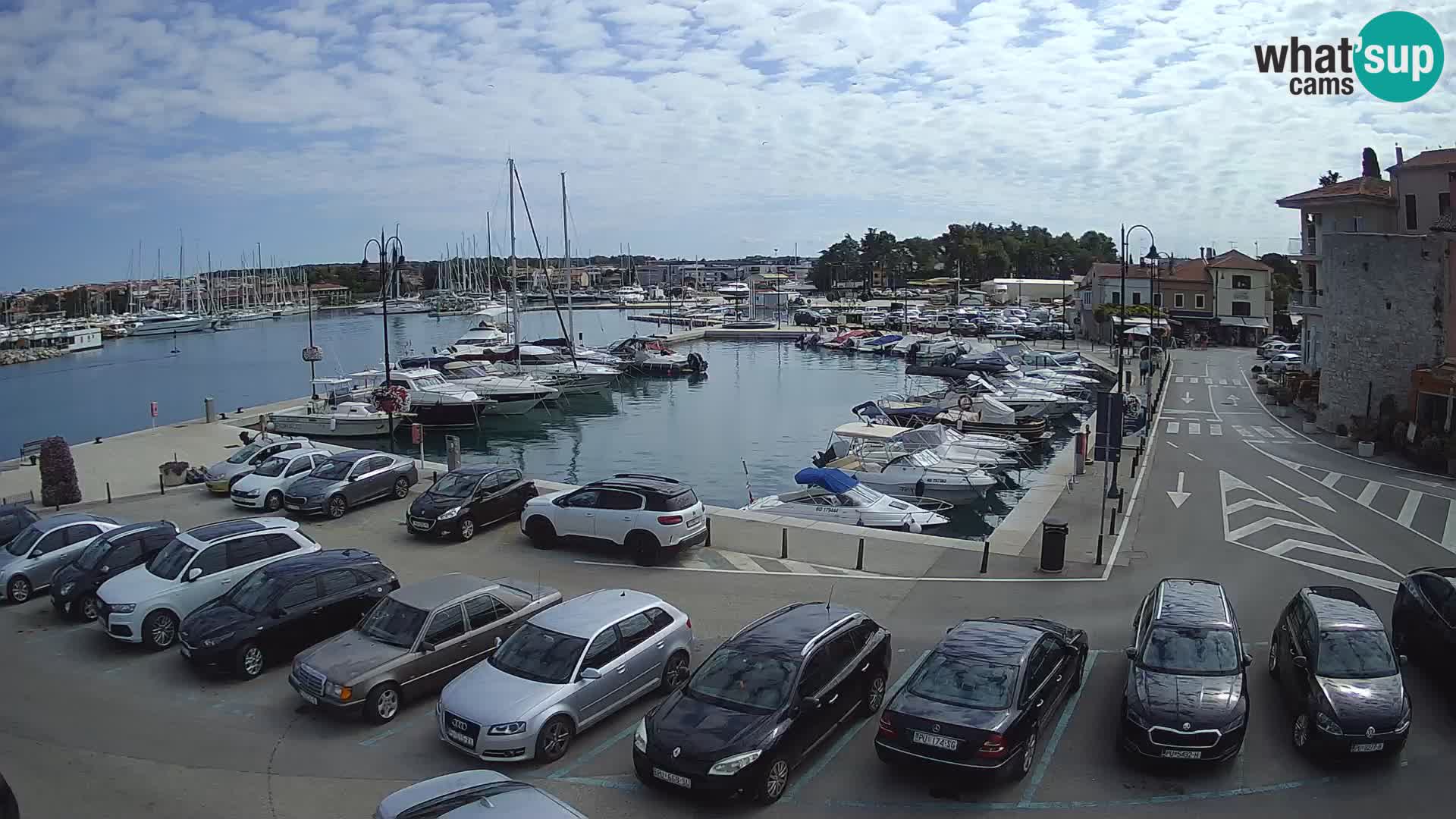 Novigrad | Porporela marina